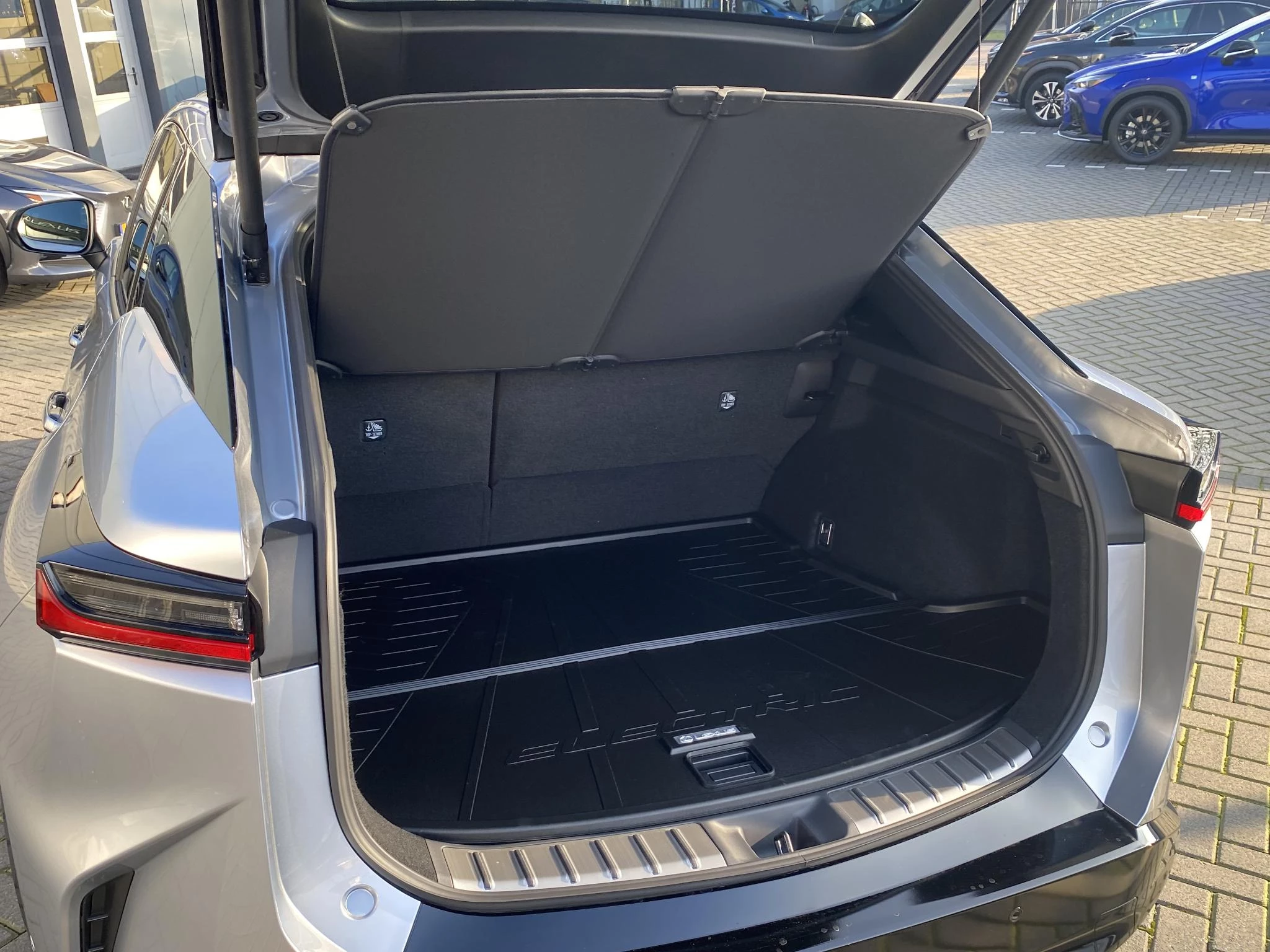 Hoofdafbeelding Lexus RZ