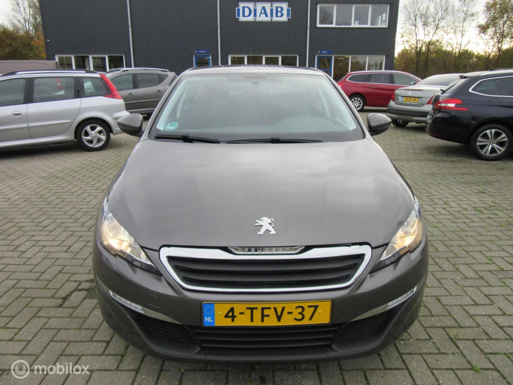 Hoofdafbeelding Peugeot 308