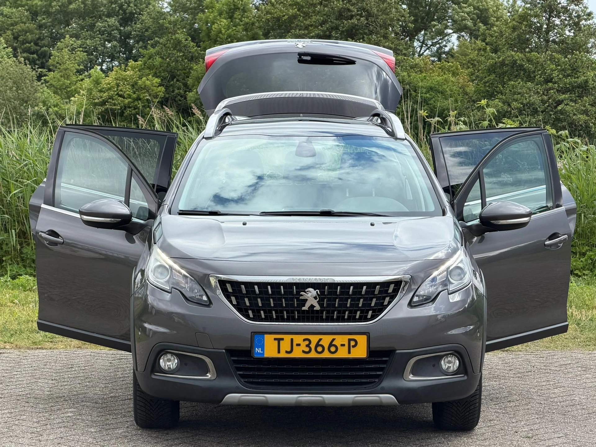 Hoofdafbeelding Peugeot 2008