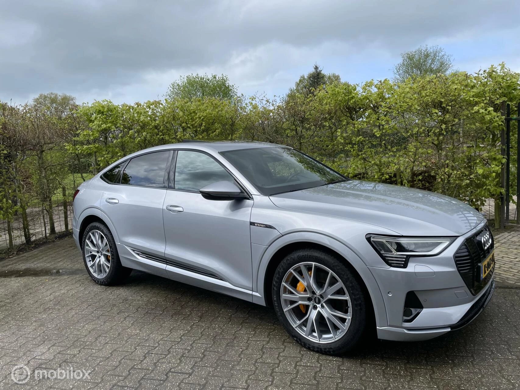 Hoofdafbeelding Audi e-tron