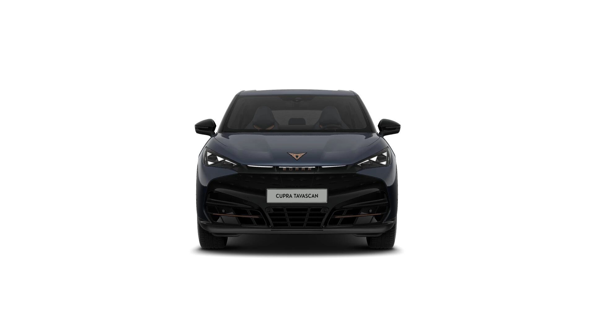 Hoofdafbeelding CUPRA Tavascan