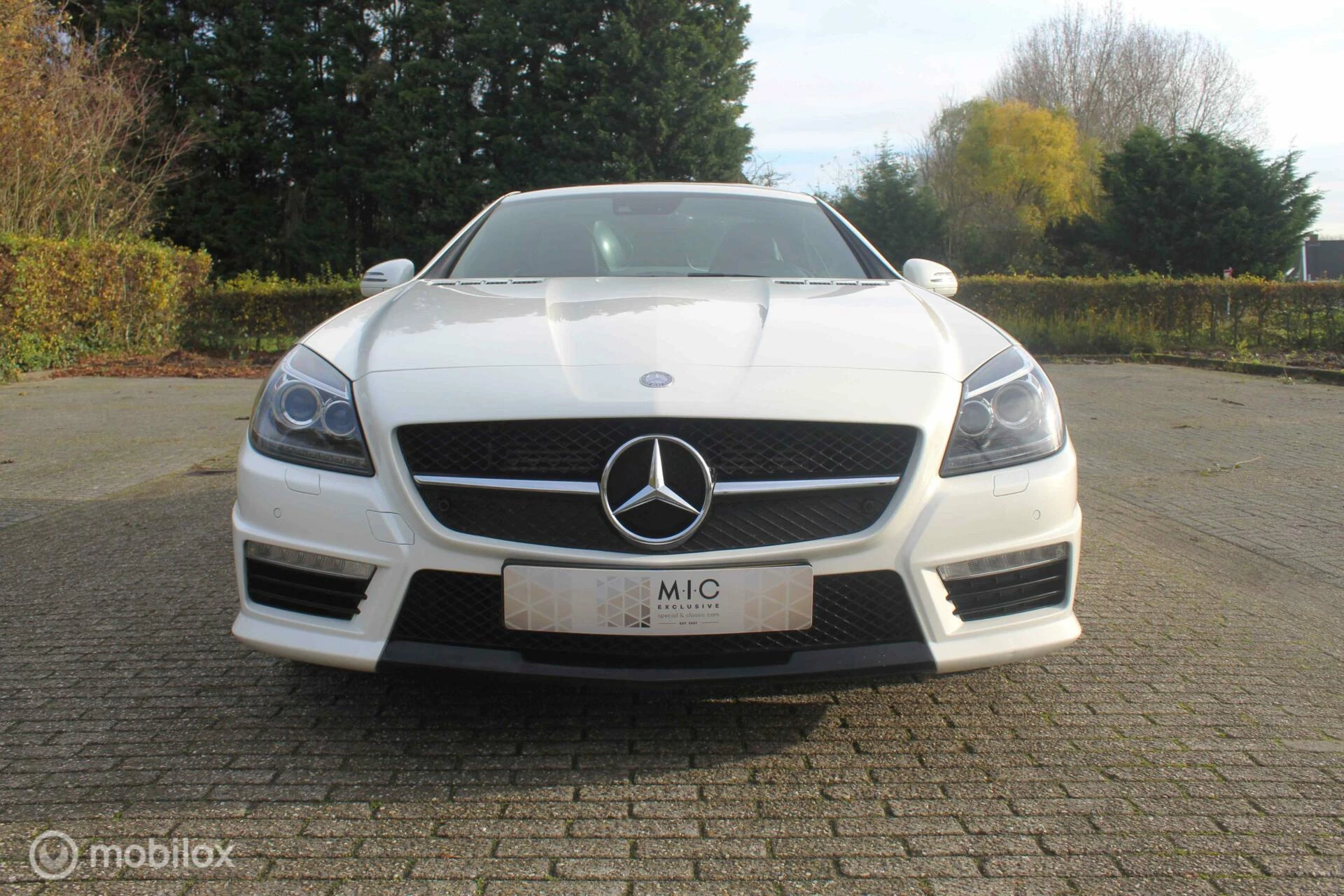 Hoofdafbeelding Mercedes-Benz SLK