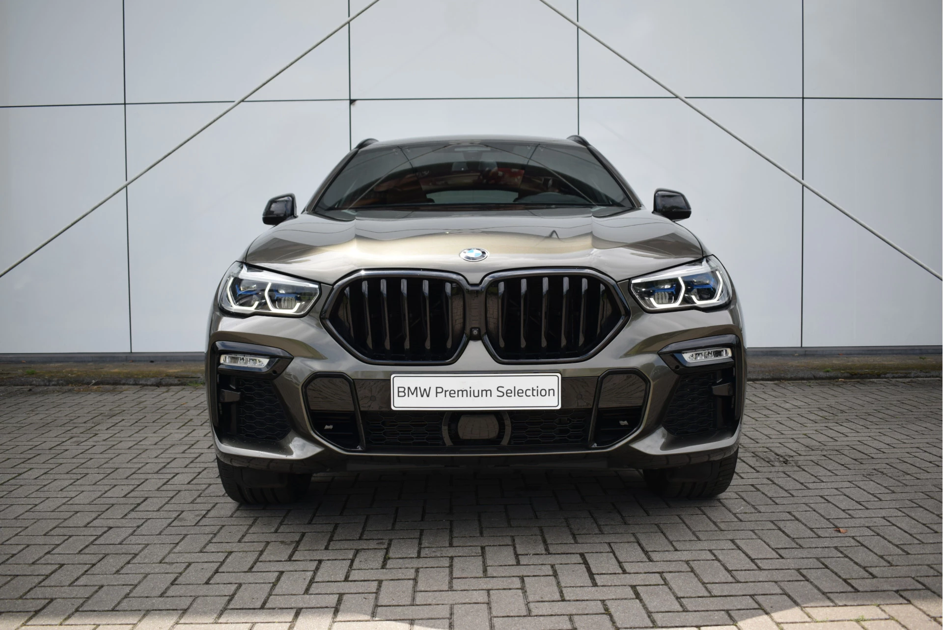 Hoofdafbeelding BMW X6