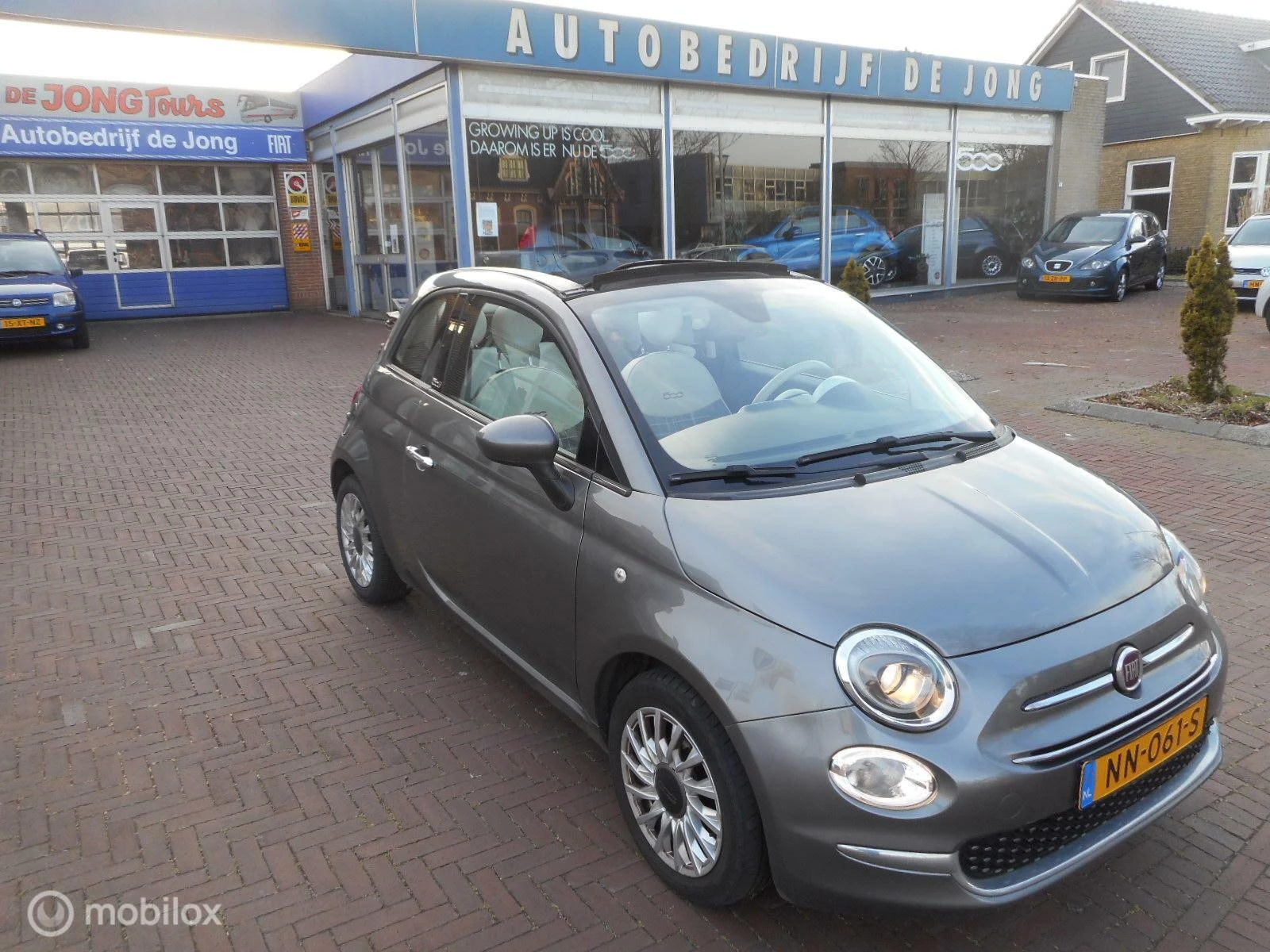 Hoofdafbeelding Fiat 500C