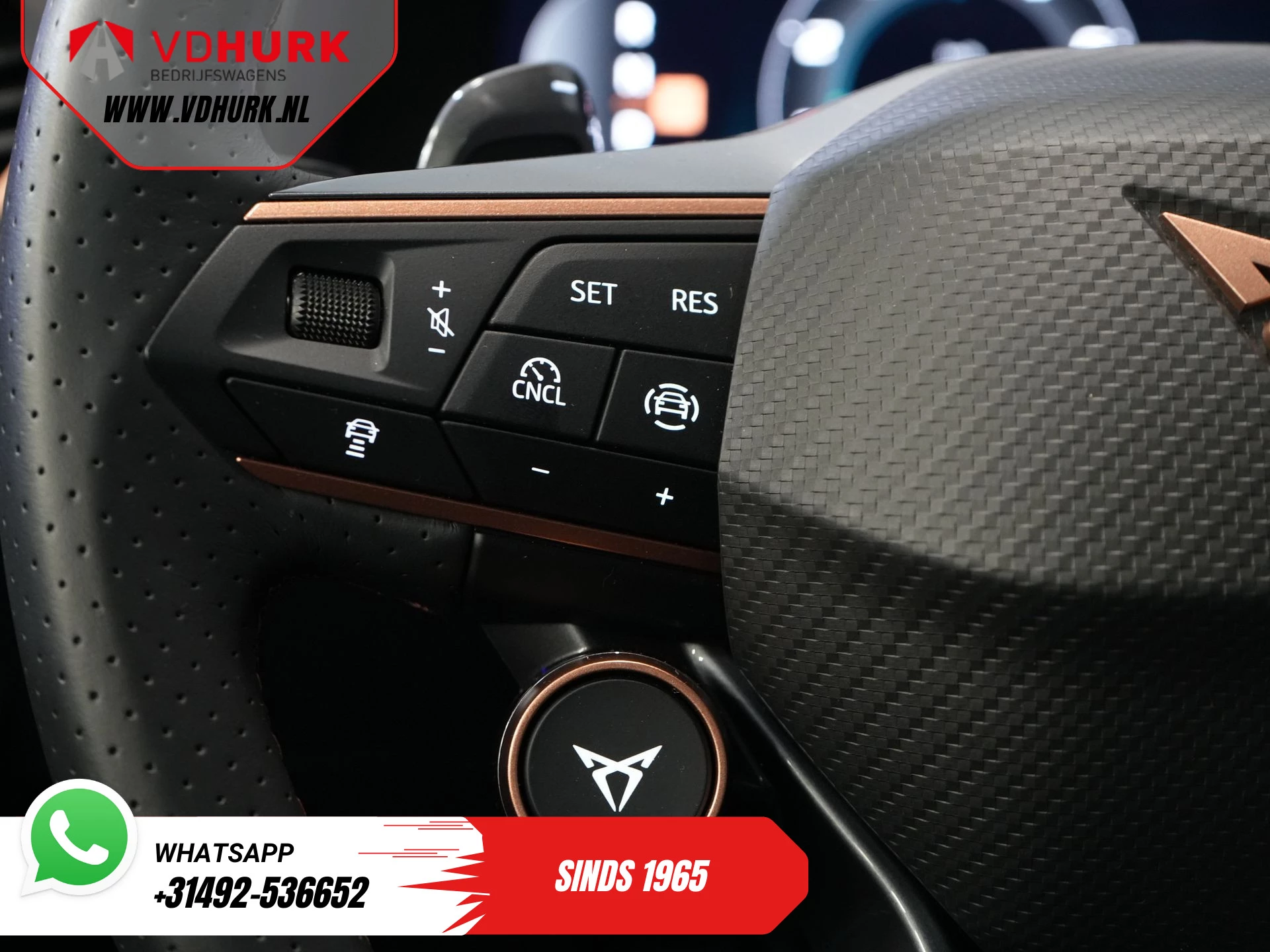 Hoofdafbeelding CUPRA Formentor