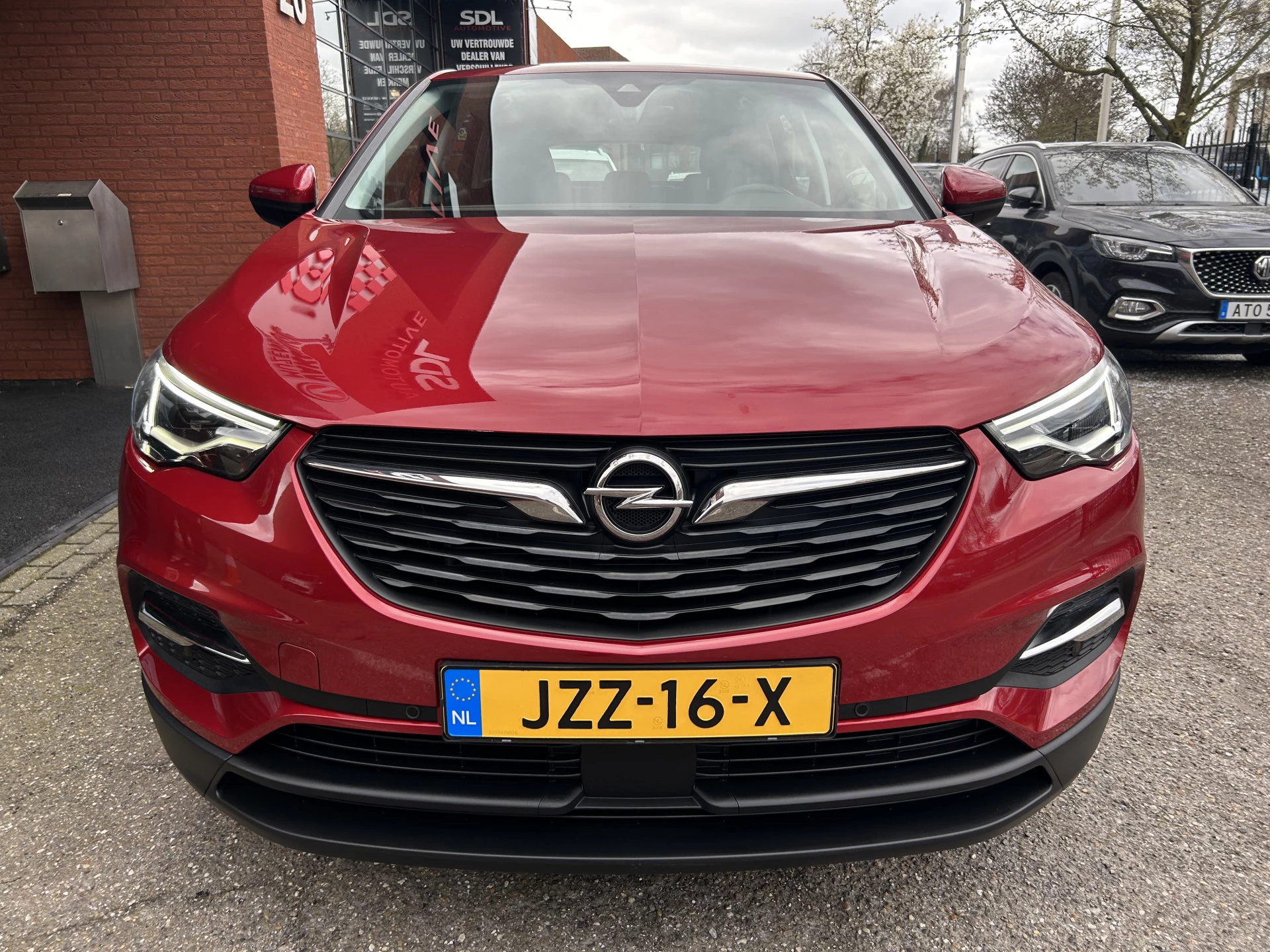 Hoofdafbeelding Opel Grandland X