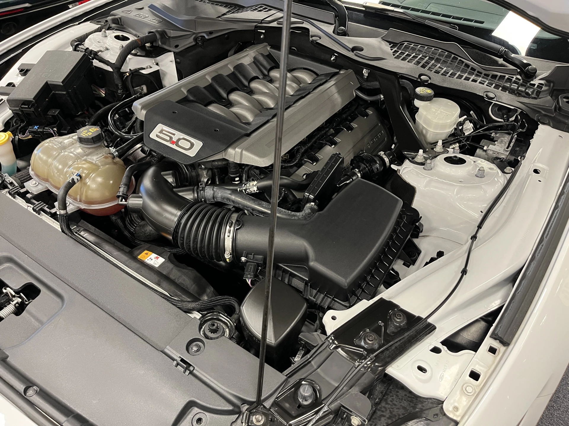 Hoofdafbeelding Ford Mustang