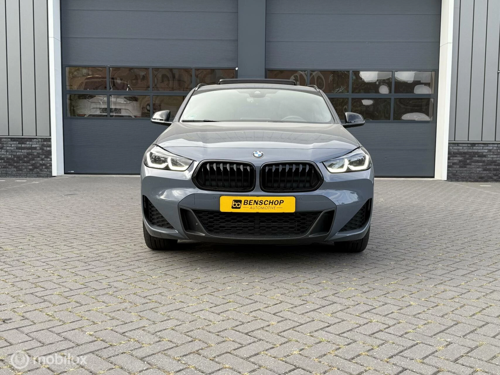 Hoofdafbeelding BMW X2