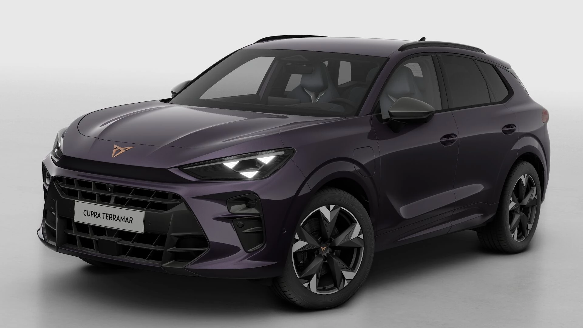 Hoofdafbeelding CUPRA Terramar