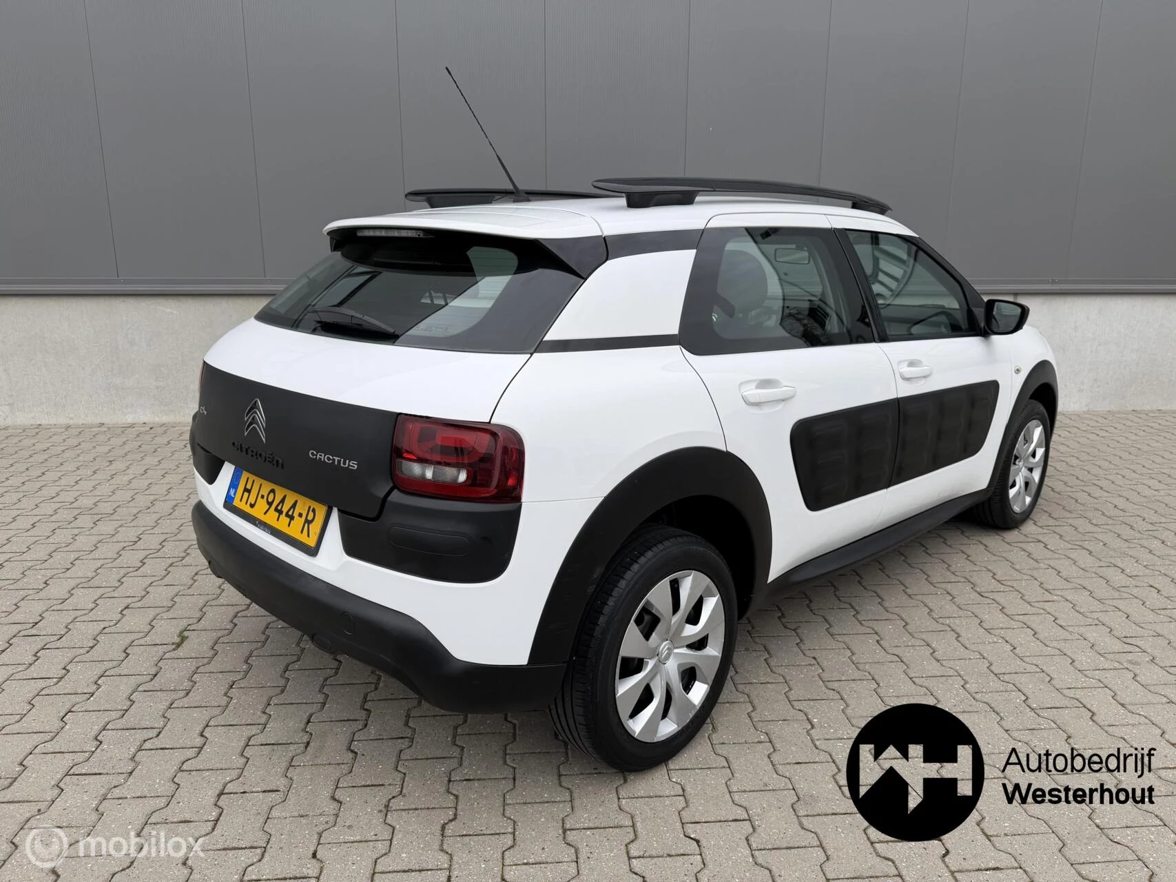 Hoofdafbeelding Citroën C4 Cactus