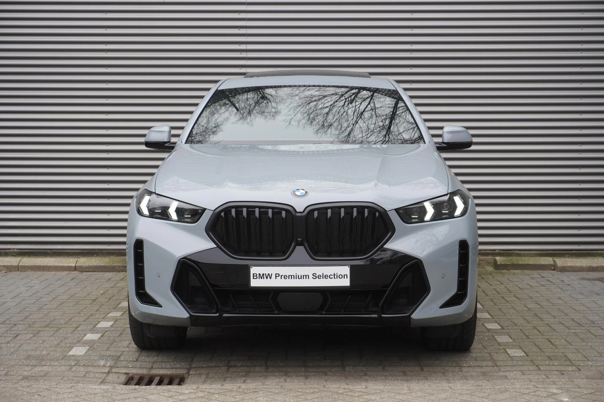 Hoofdafbeelding BMW X6