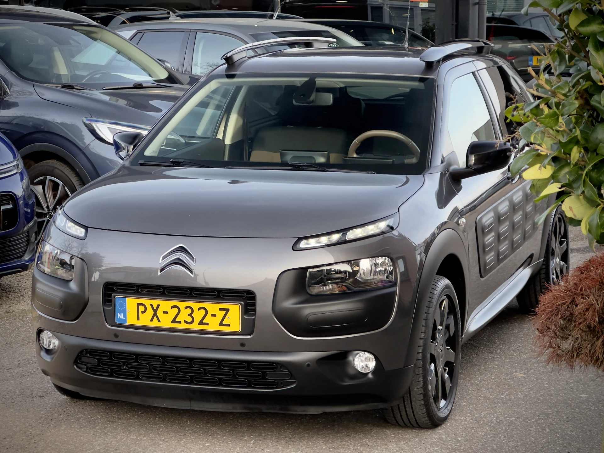 Hoofdafbeelding Citroën C4 Cactus
