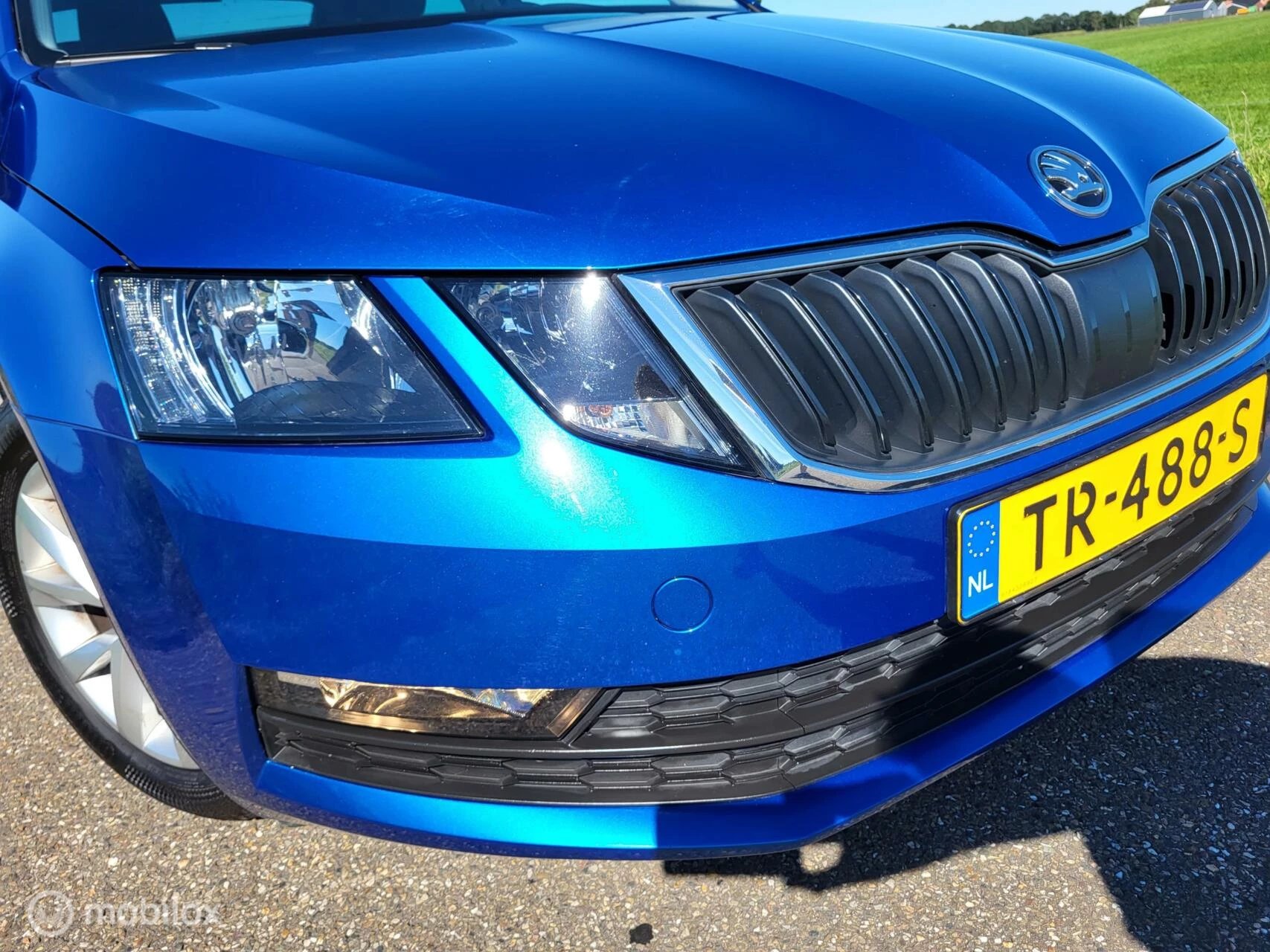 Hoofdafbeelding Škoda Octavia