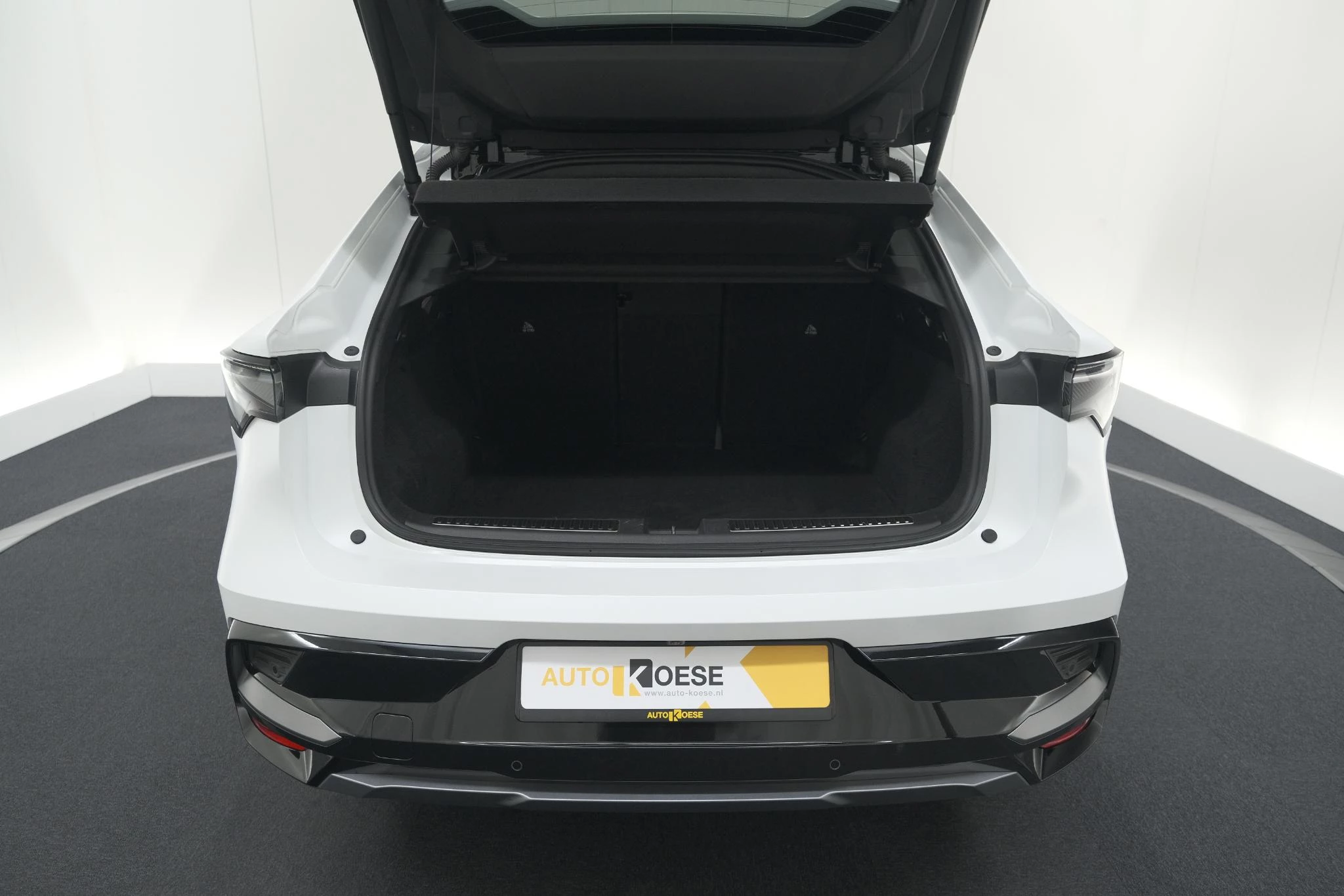 Hoofdafbeelding Renault Rafale