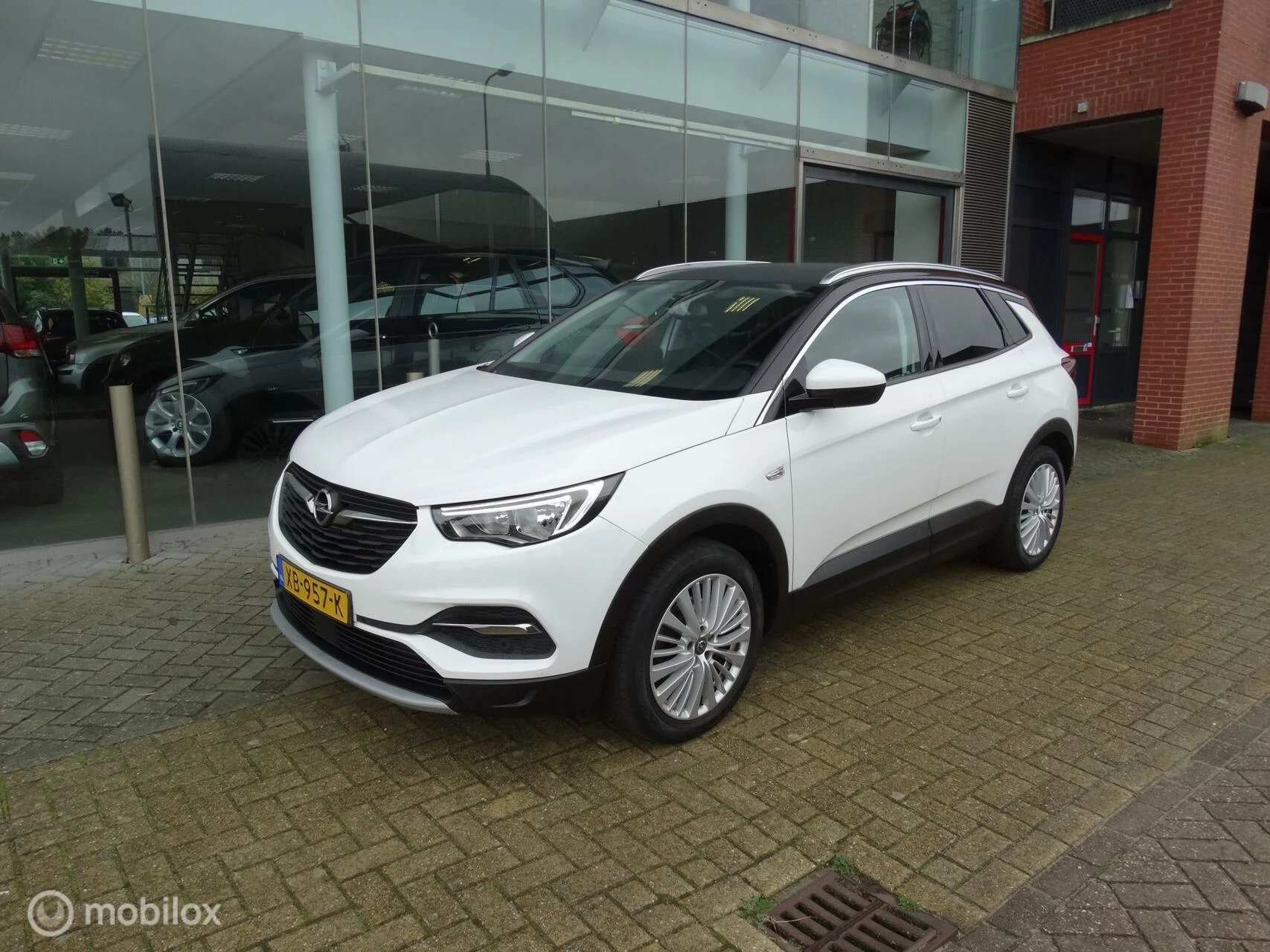 Hoofdafbeelding Opel Grandland X