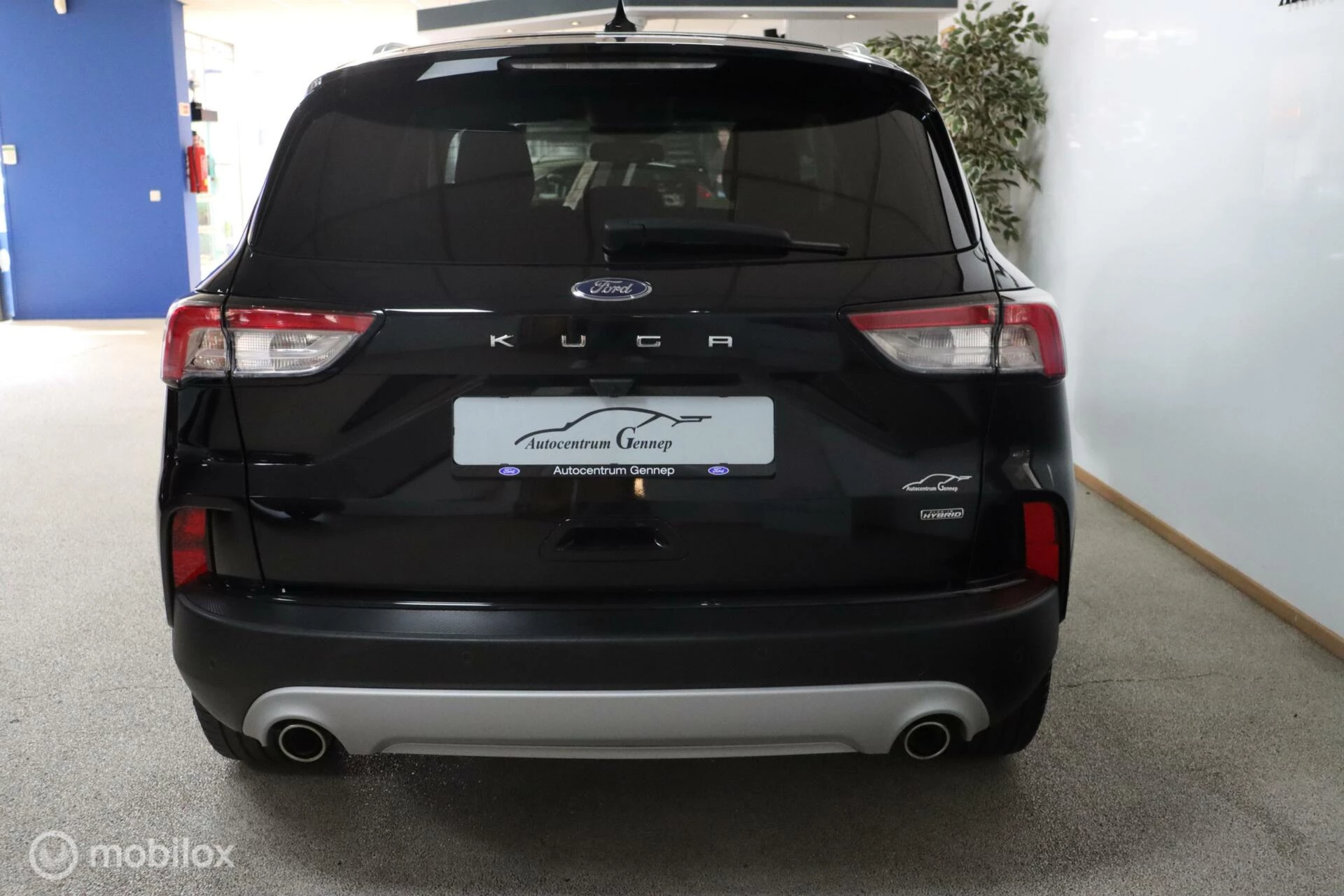 Hoofdafbeelding Ford Kuga