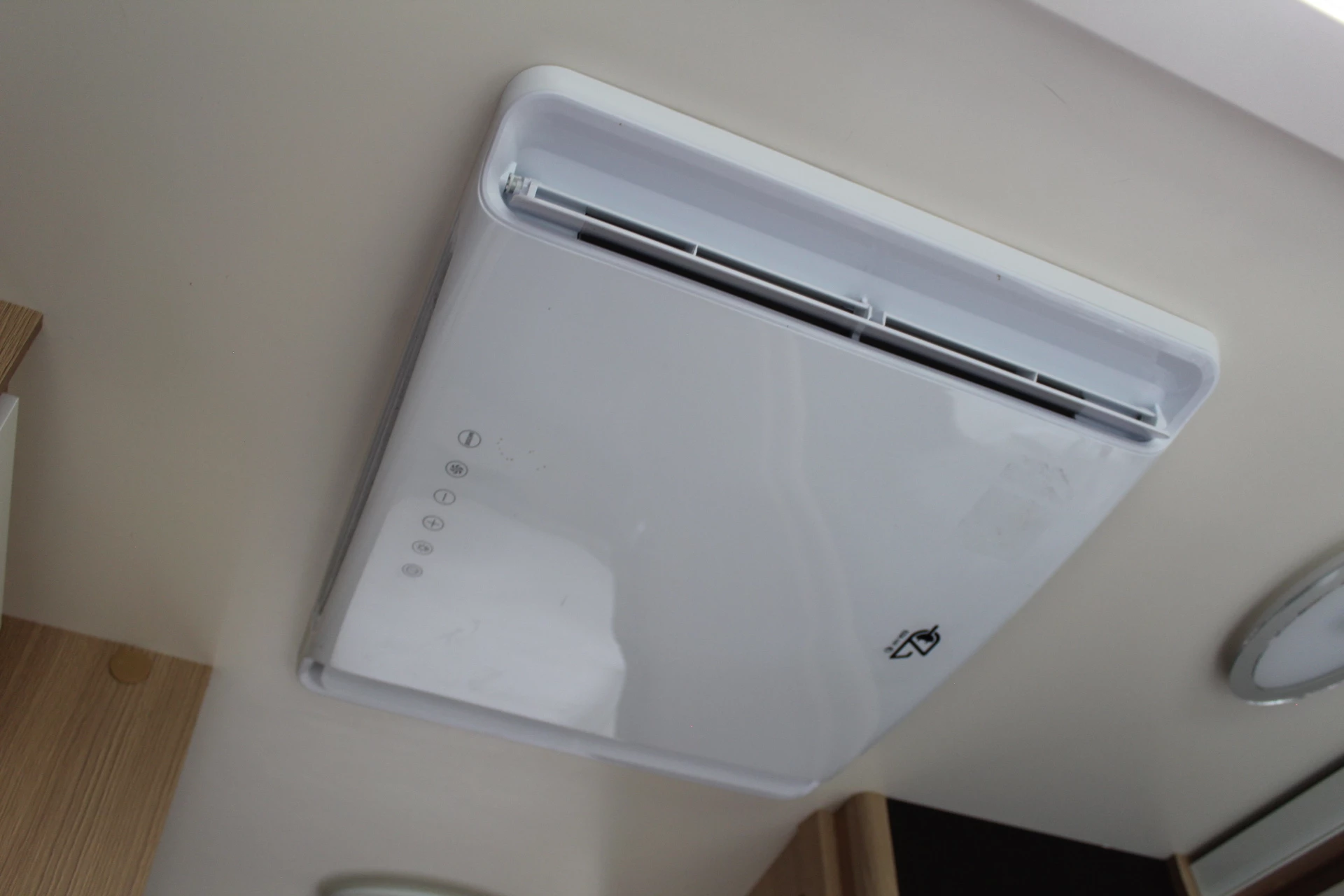 Hoofdafbeelding McLouis YEARLING