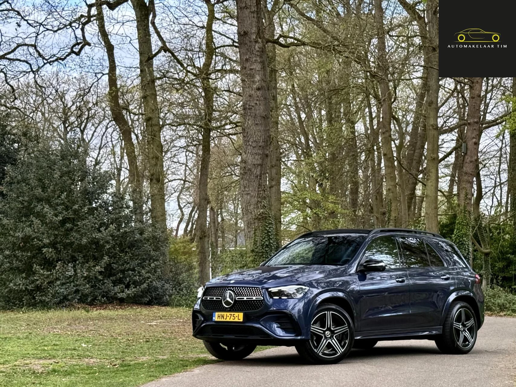 Hoofdafbeelding Mercedes-Benz GLE