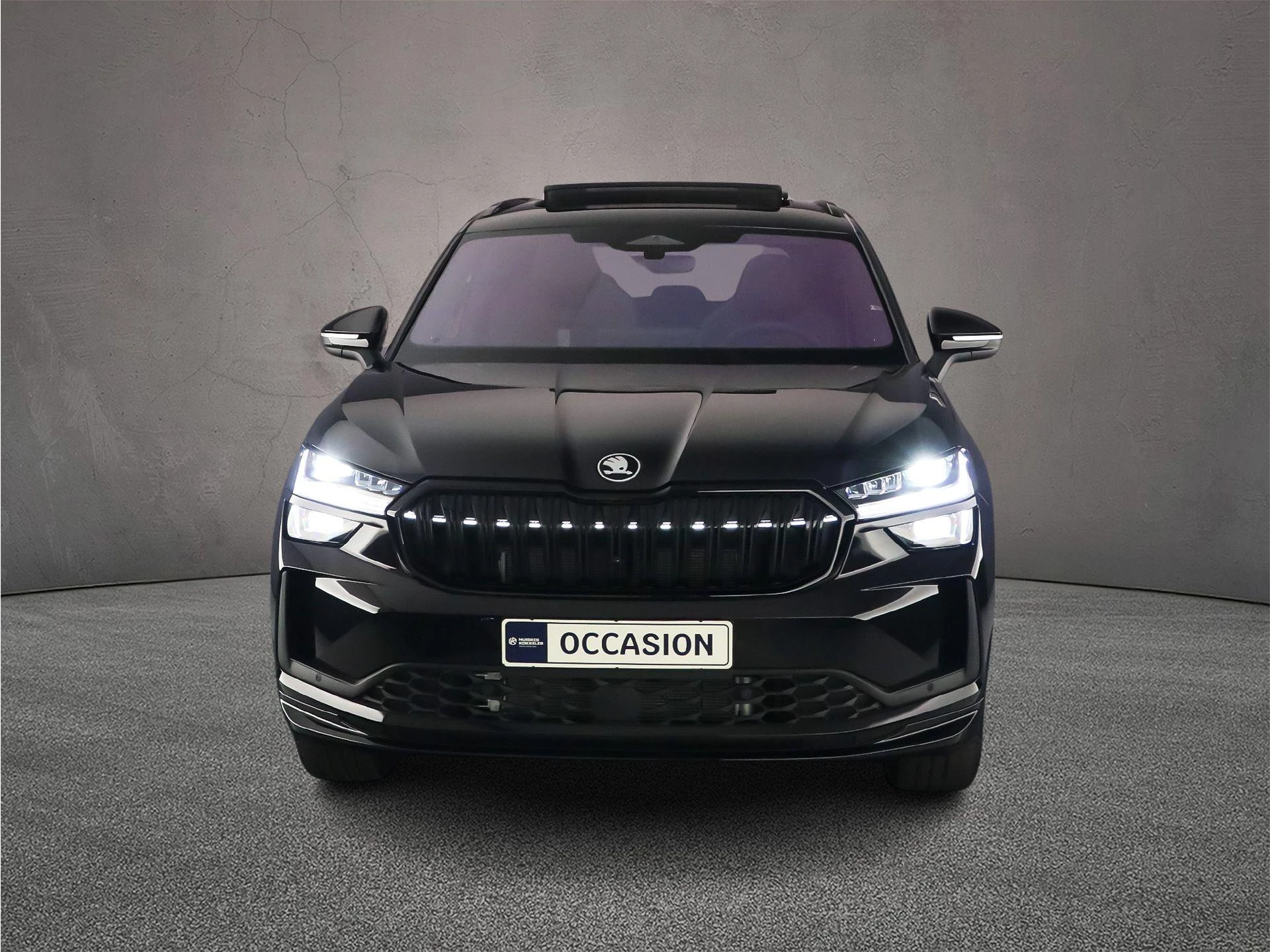 Hoofdafbeelding Škoda Kodiaq