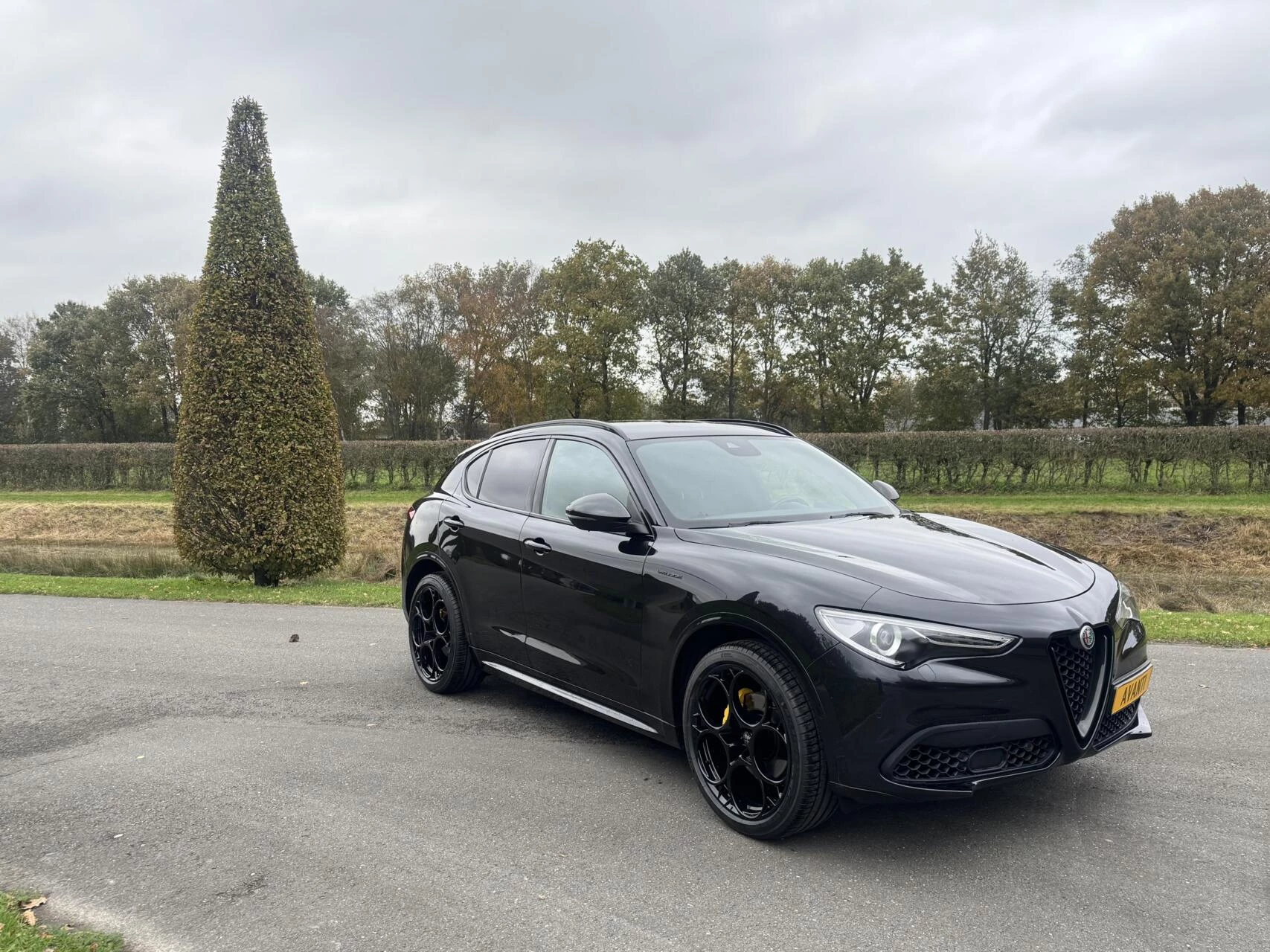 Hoofdafbeelding Alfa Romeo Stelvio