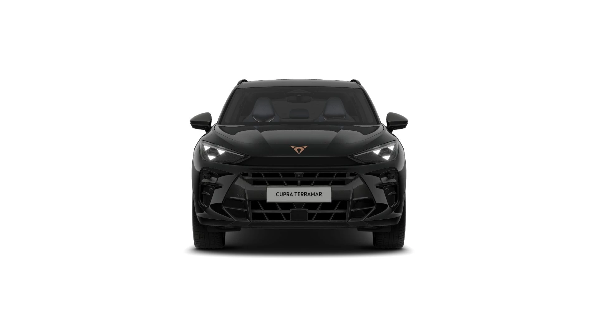 Hoofdafbeelding CUPRA Terramar