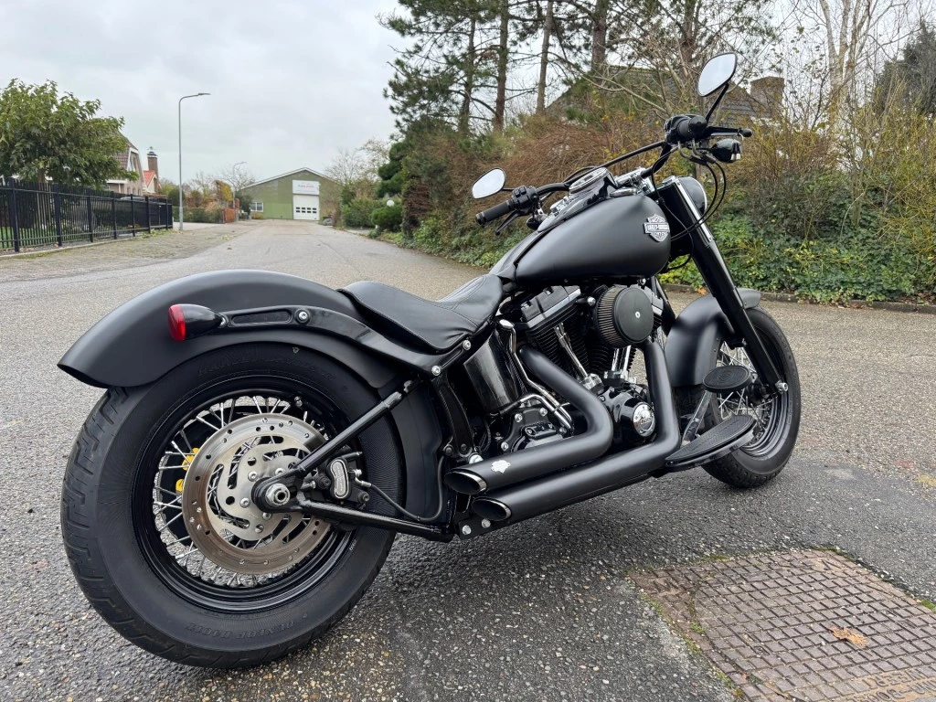 Hoofdafbeelding Harley-Davidson Softail