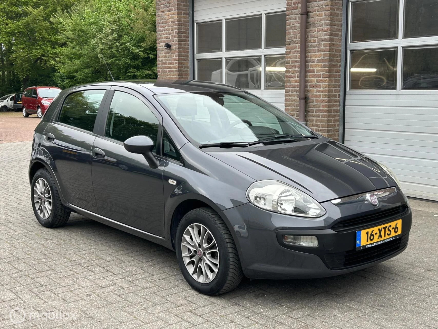 Hoofdafbeelding Fiat Punto