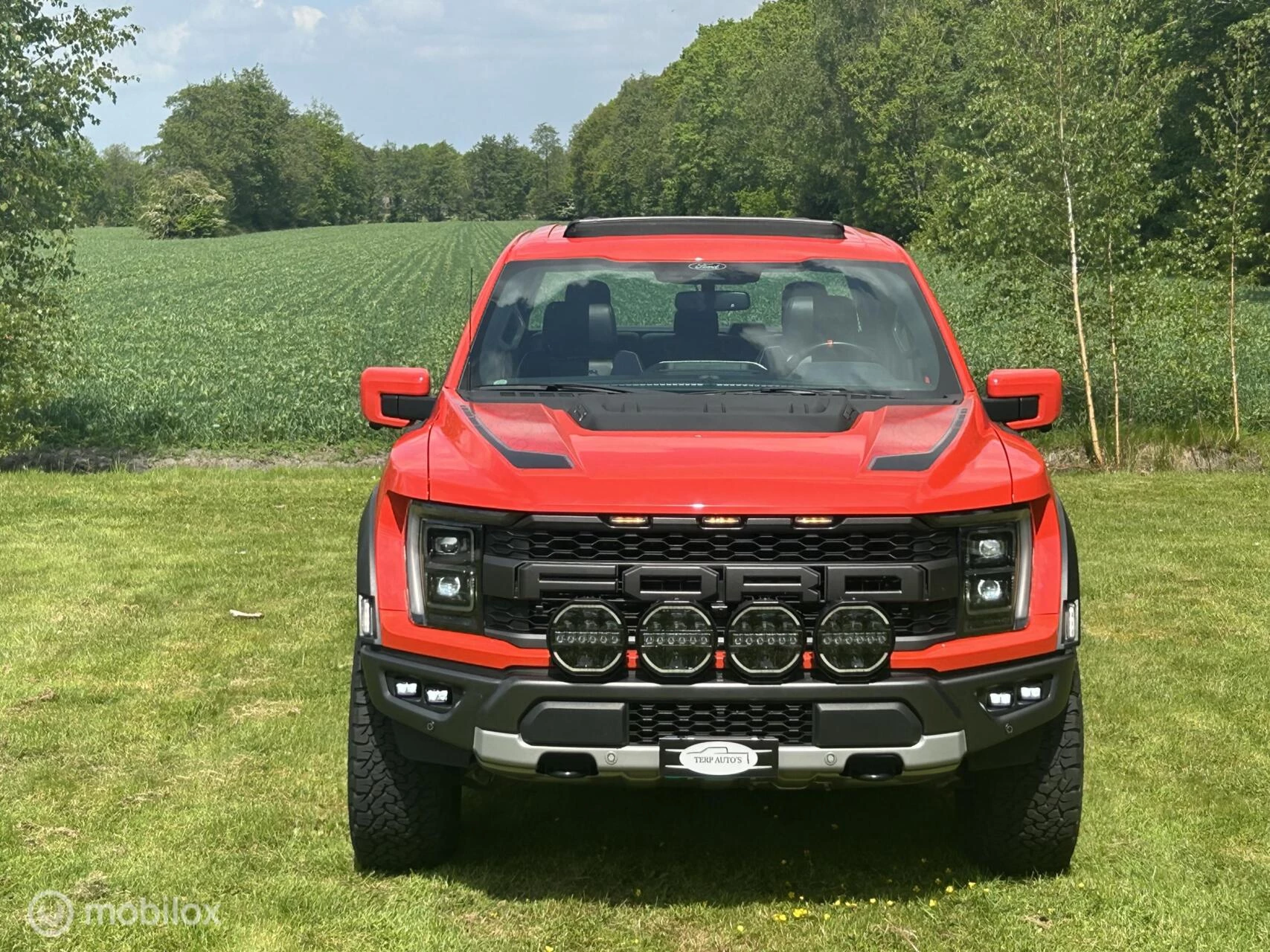 Hoofdafbeelding Ford F-150