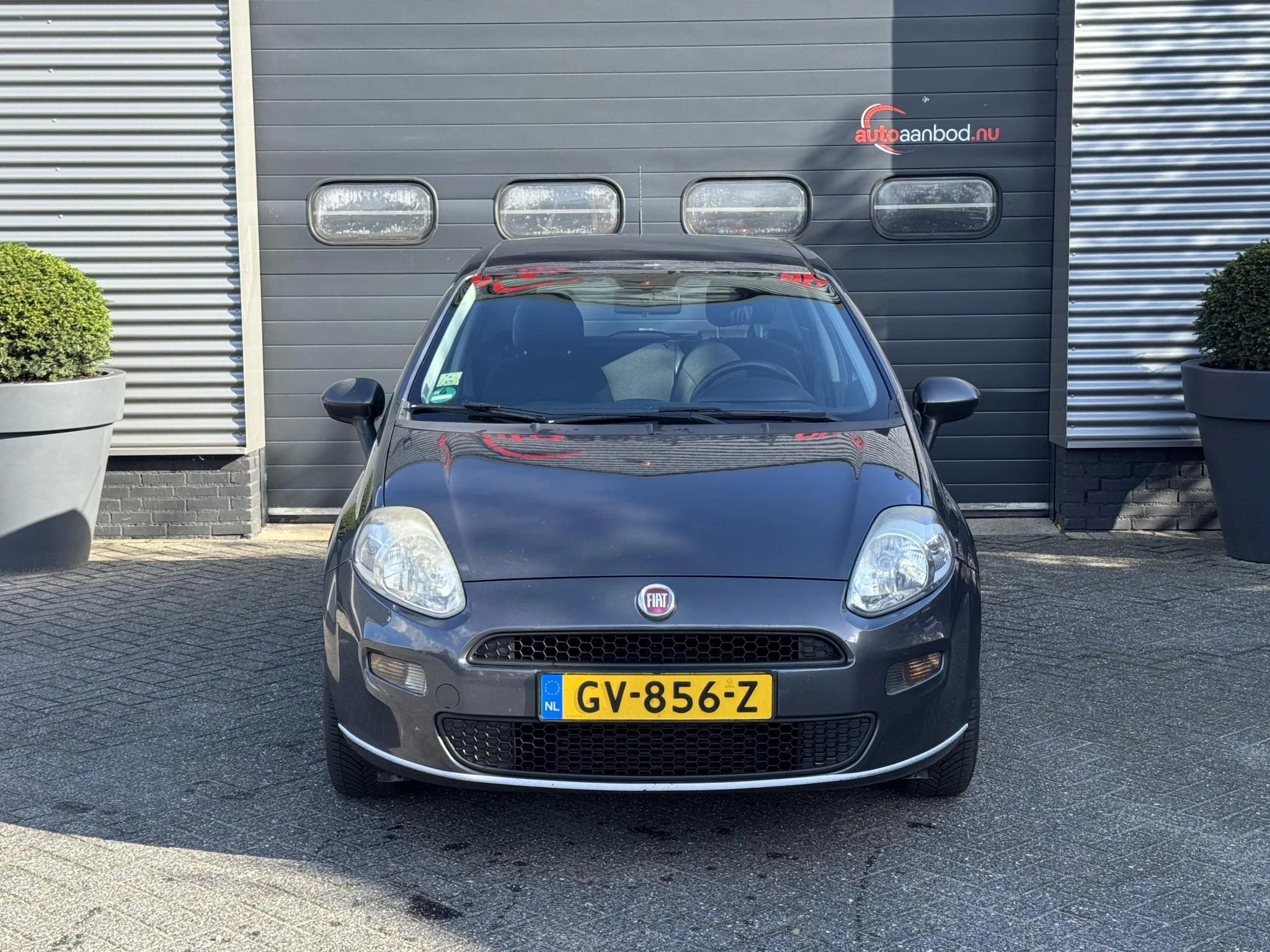 Hoofdafbeelding Fiat Punto