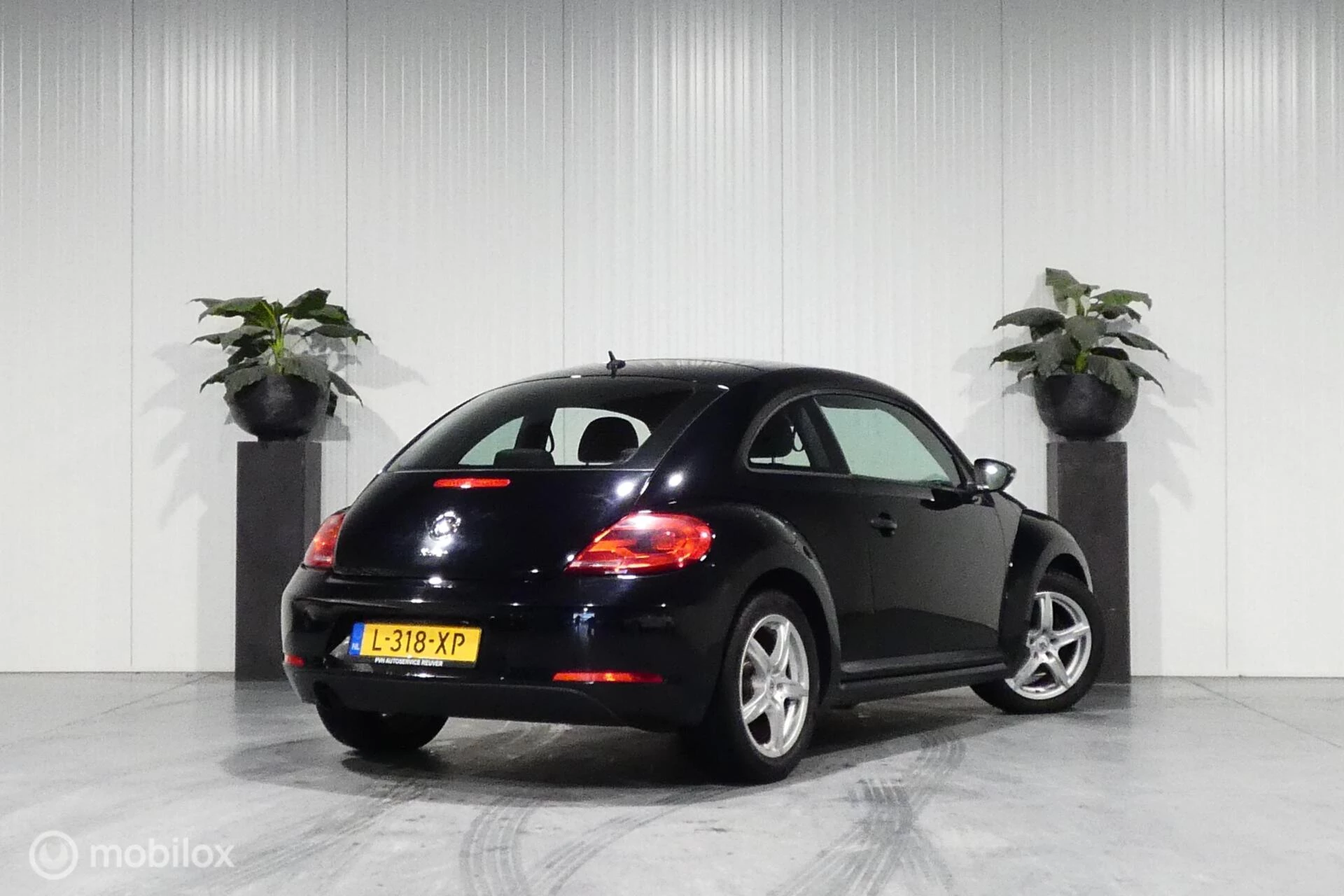 Hoofdafbeelding Volkswagen Beetle