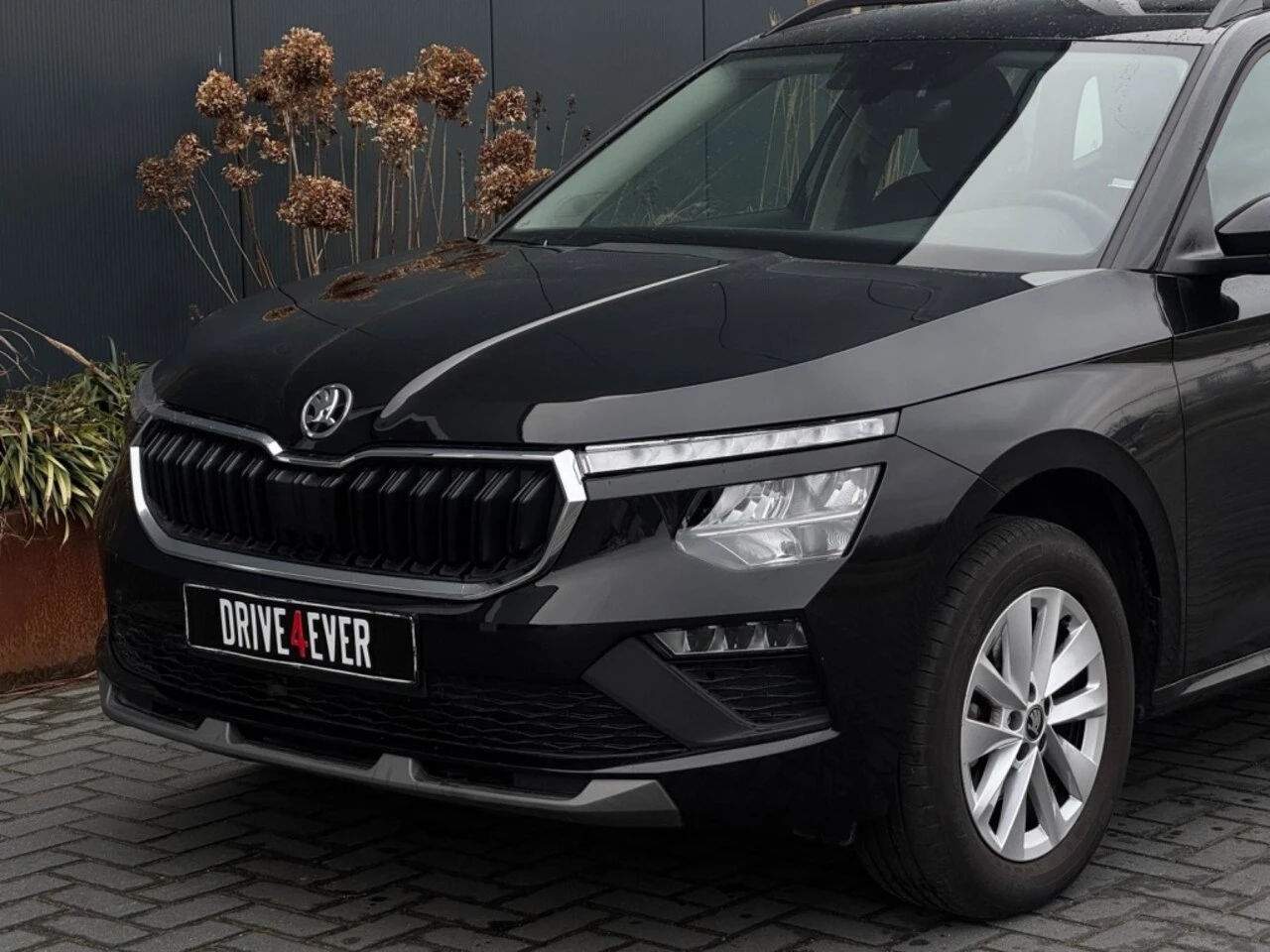 Hoofdafbeelding Škoda Kamiq