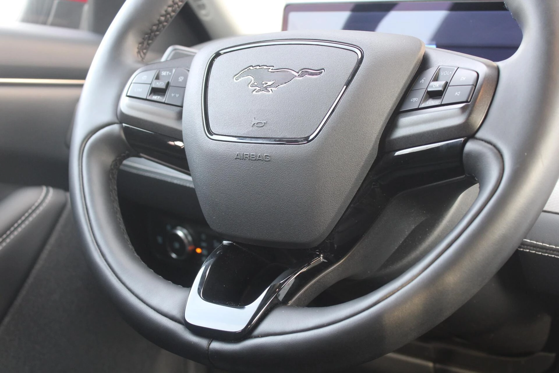 Hoofdafbeelding Ford Mustang Mach-E