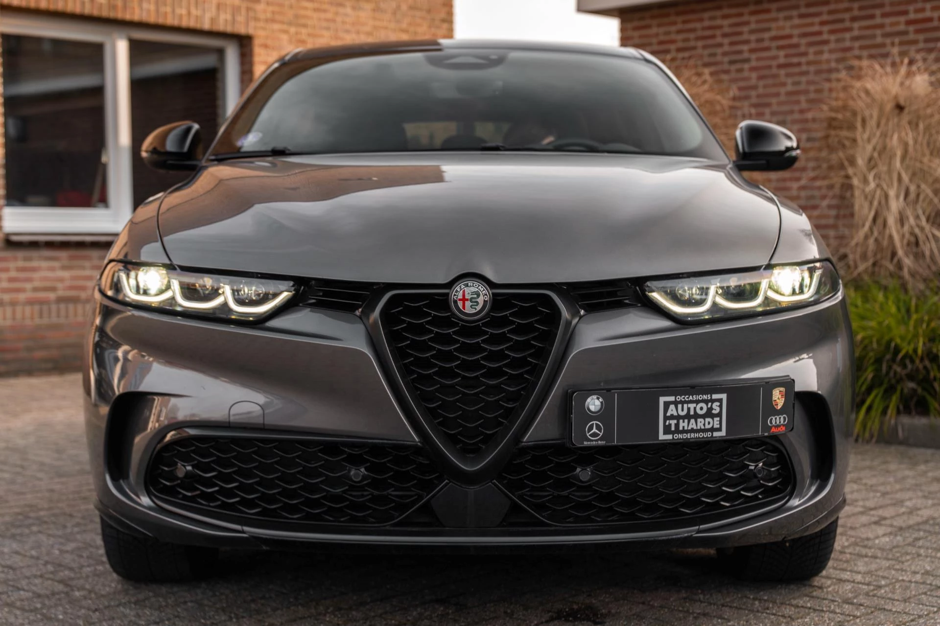 Hoofdafbeelding Alfa Romeo Tonale