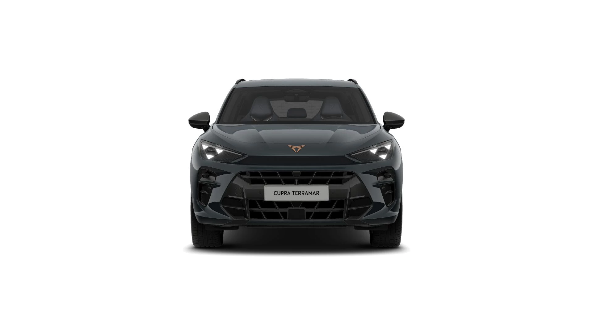 Hoofdafbeelding CUPRA Terramar