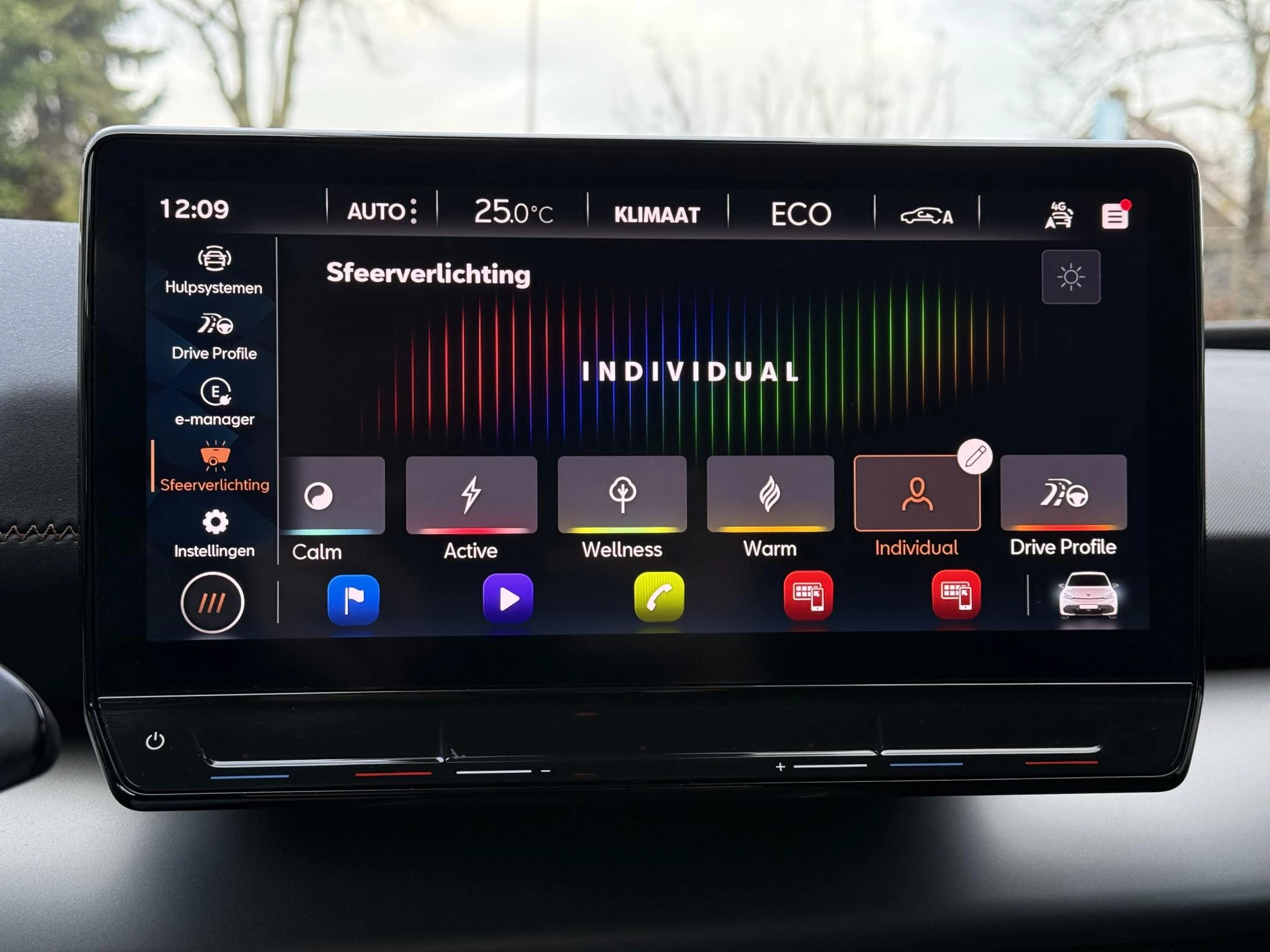 Hoofdafbeelding CUPRA Born