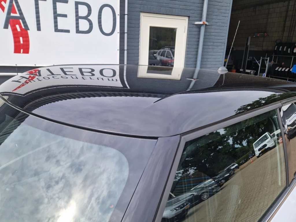 Hoofdafbeelding MINI Paceman