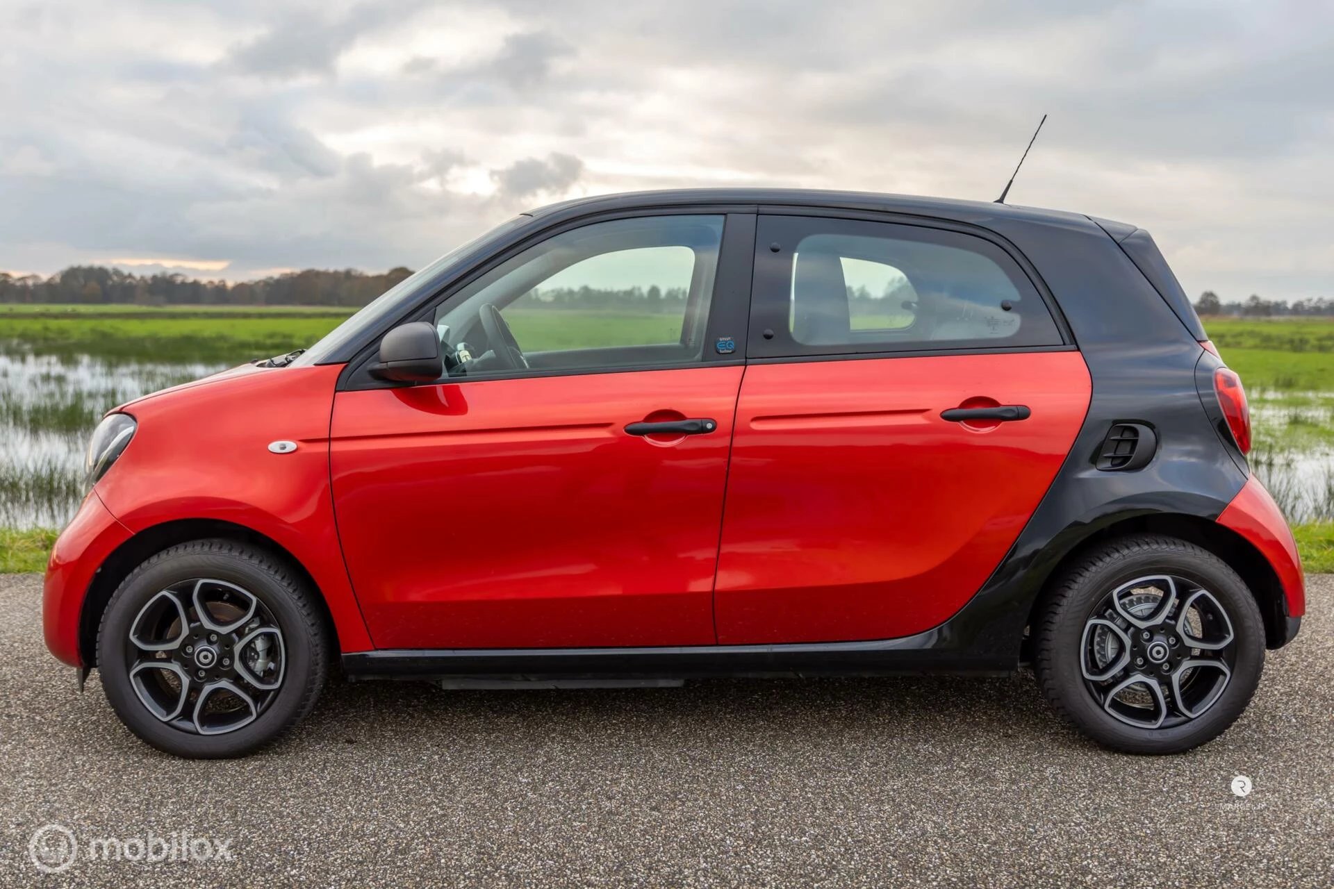 Hoofdafbeelding Smart Forfour