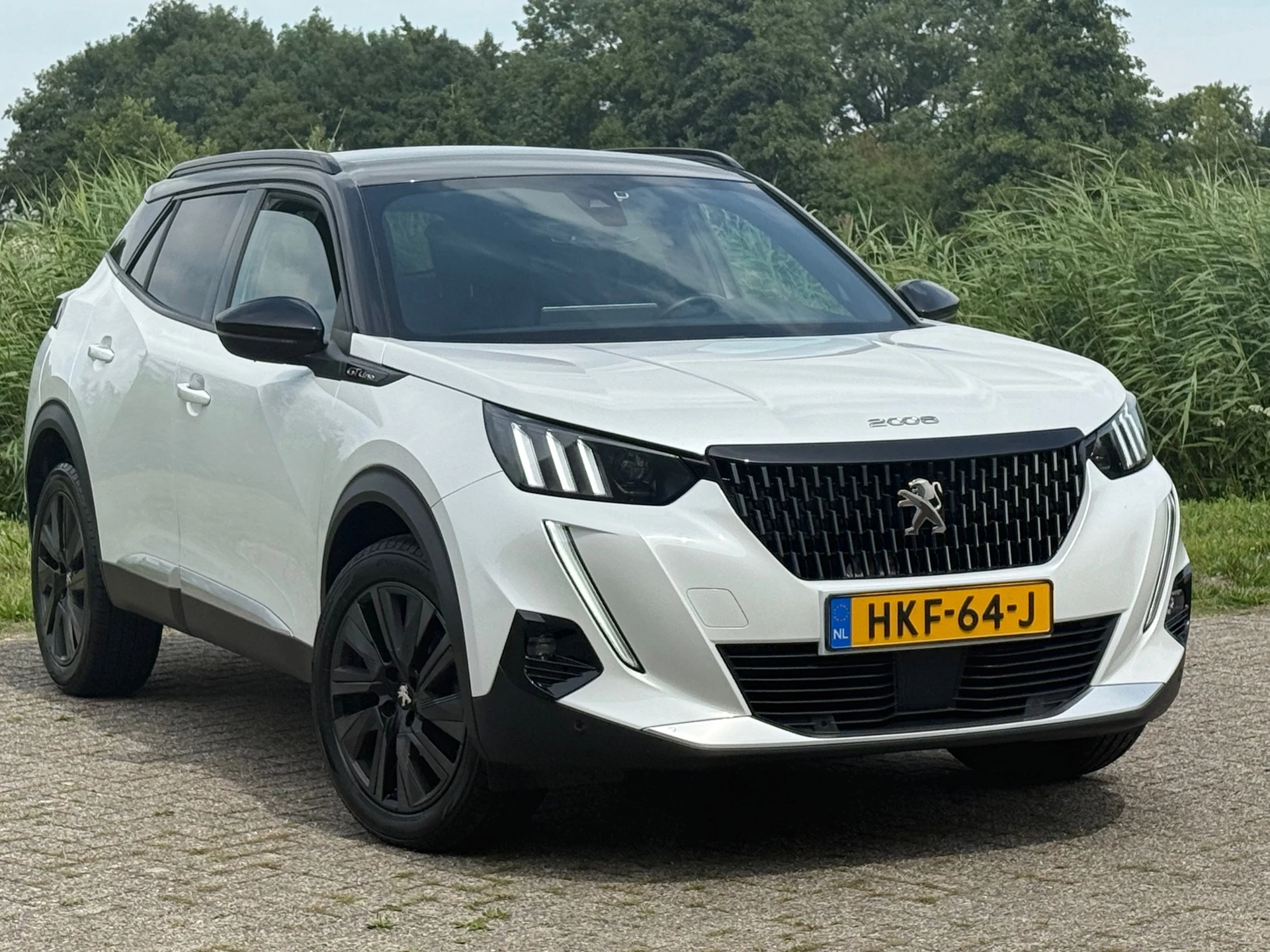 Hoofdafbeelding Peugeot 2008
