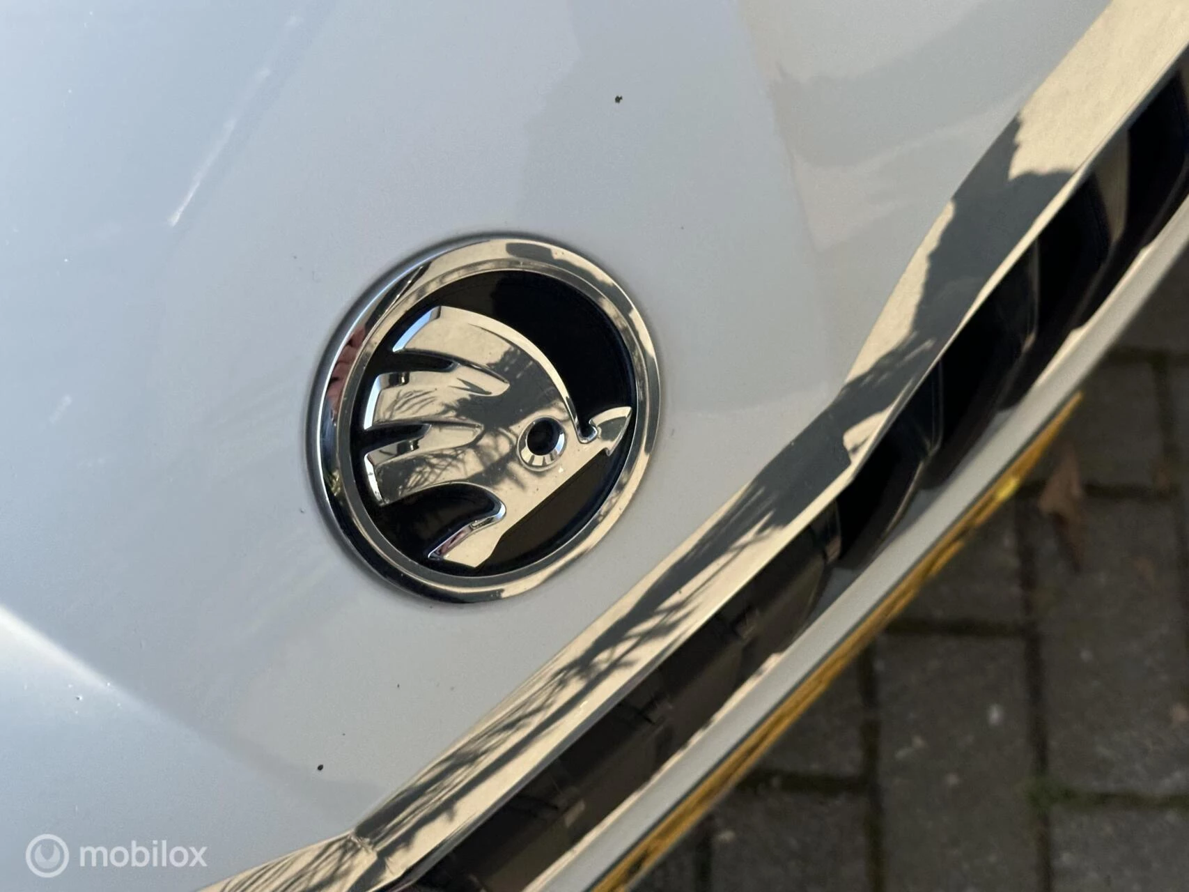 Hoofdafbeelding Škoda Scala