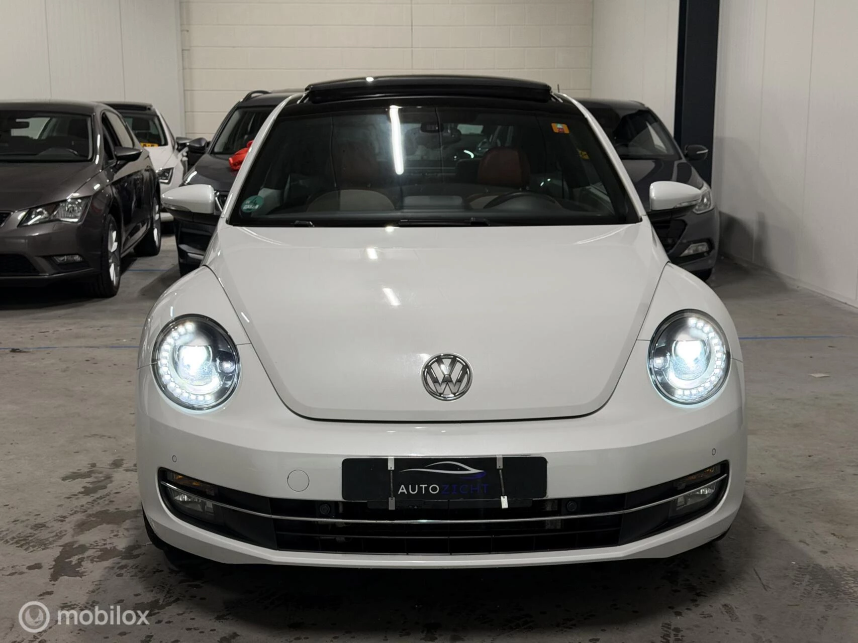 Hoofdafbeelding Volkswagen Beetle