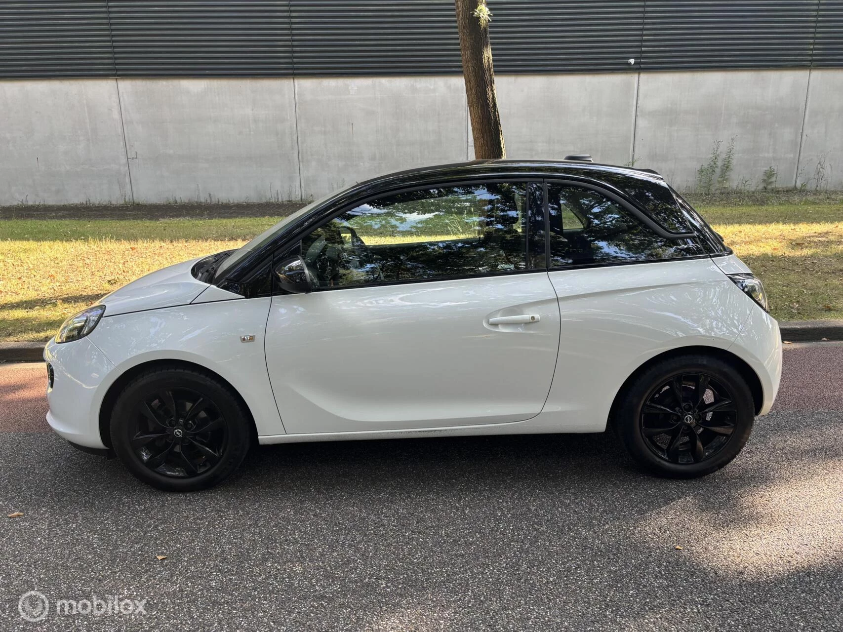 Hoofdafbeelding Opel ADAM