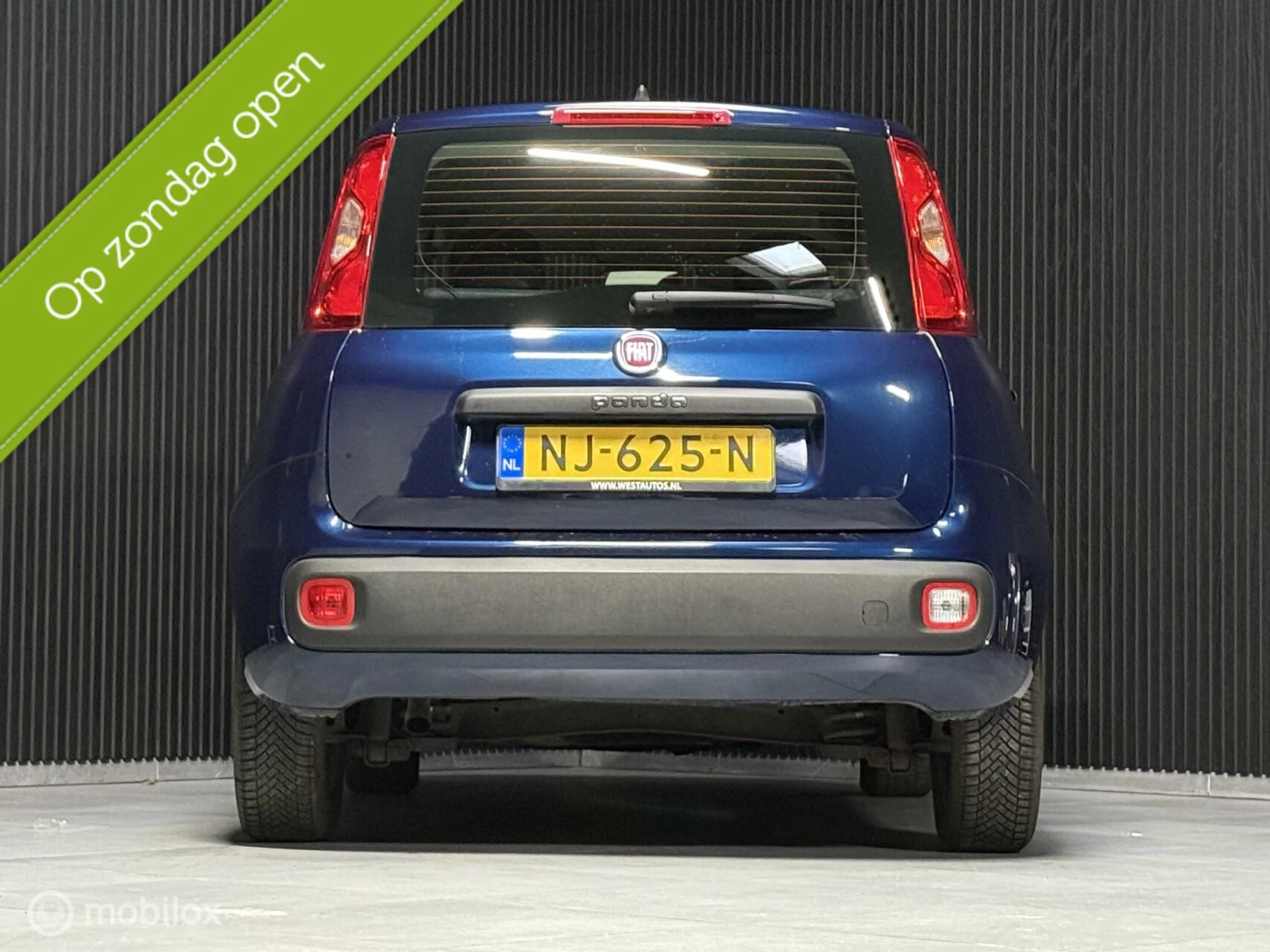 Hoofdafbeelding Fiat Panda