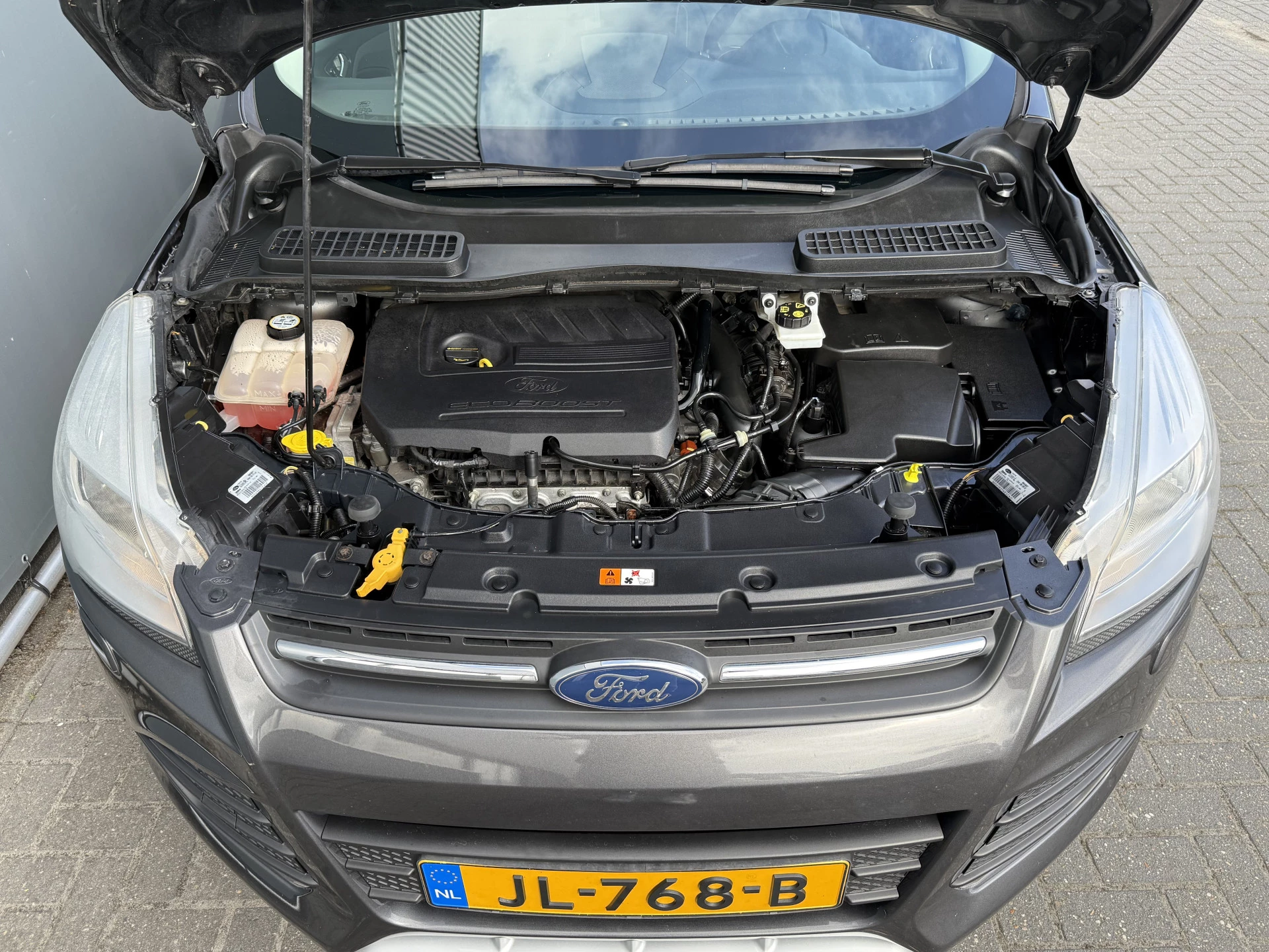 Hoofdafbeelding Ford Kuga