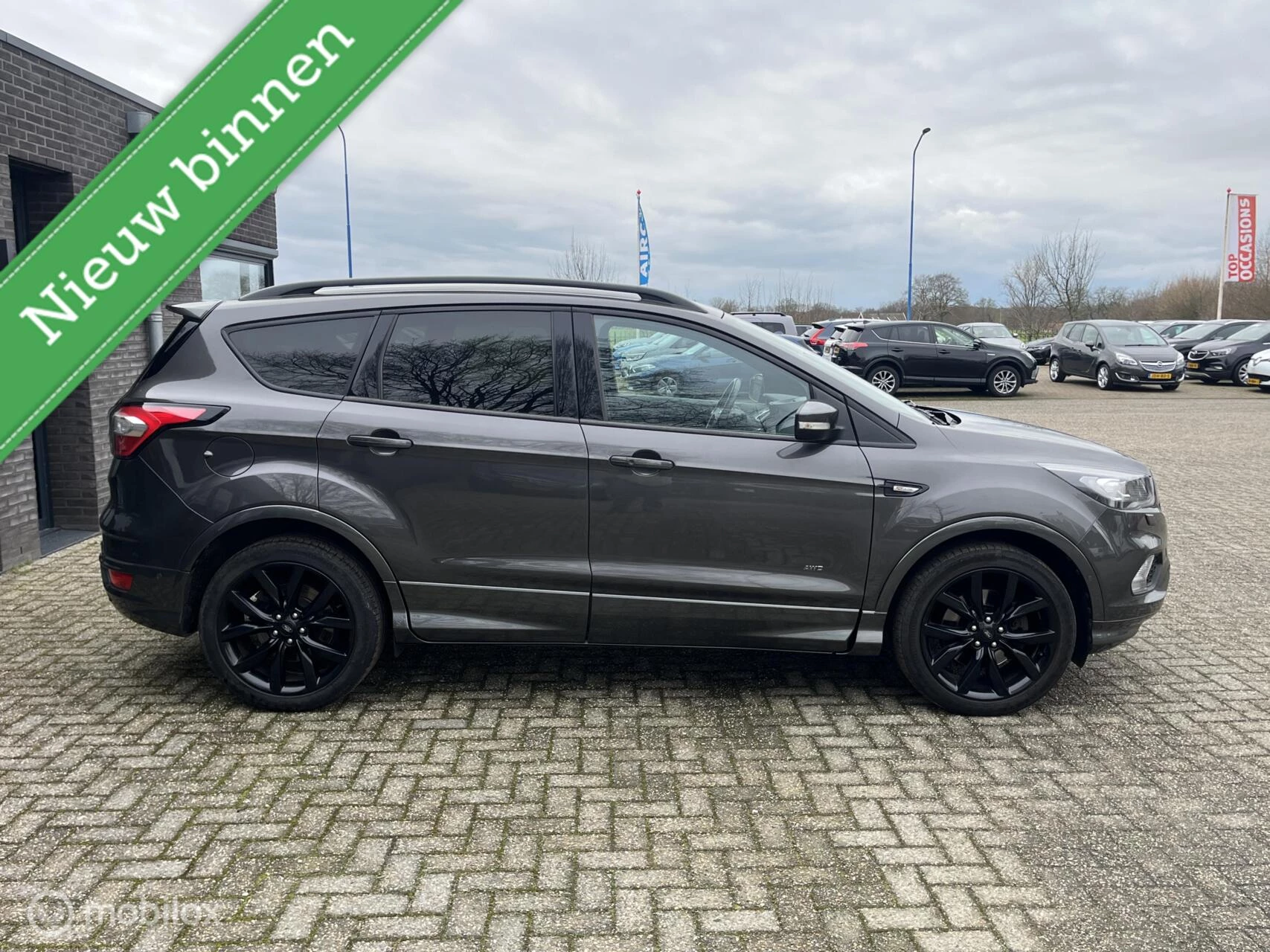 Hoofdafbeelding Ford Kuga