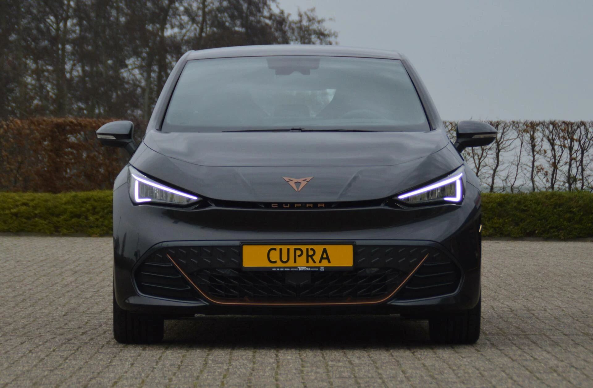 Hoofdafbeelding CUPRA Born