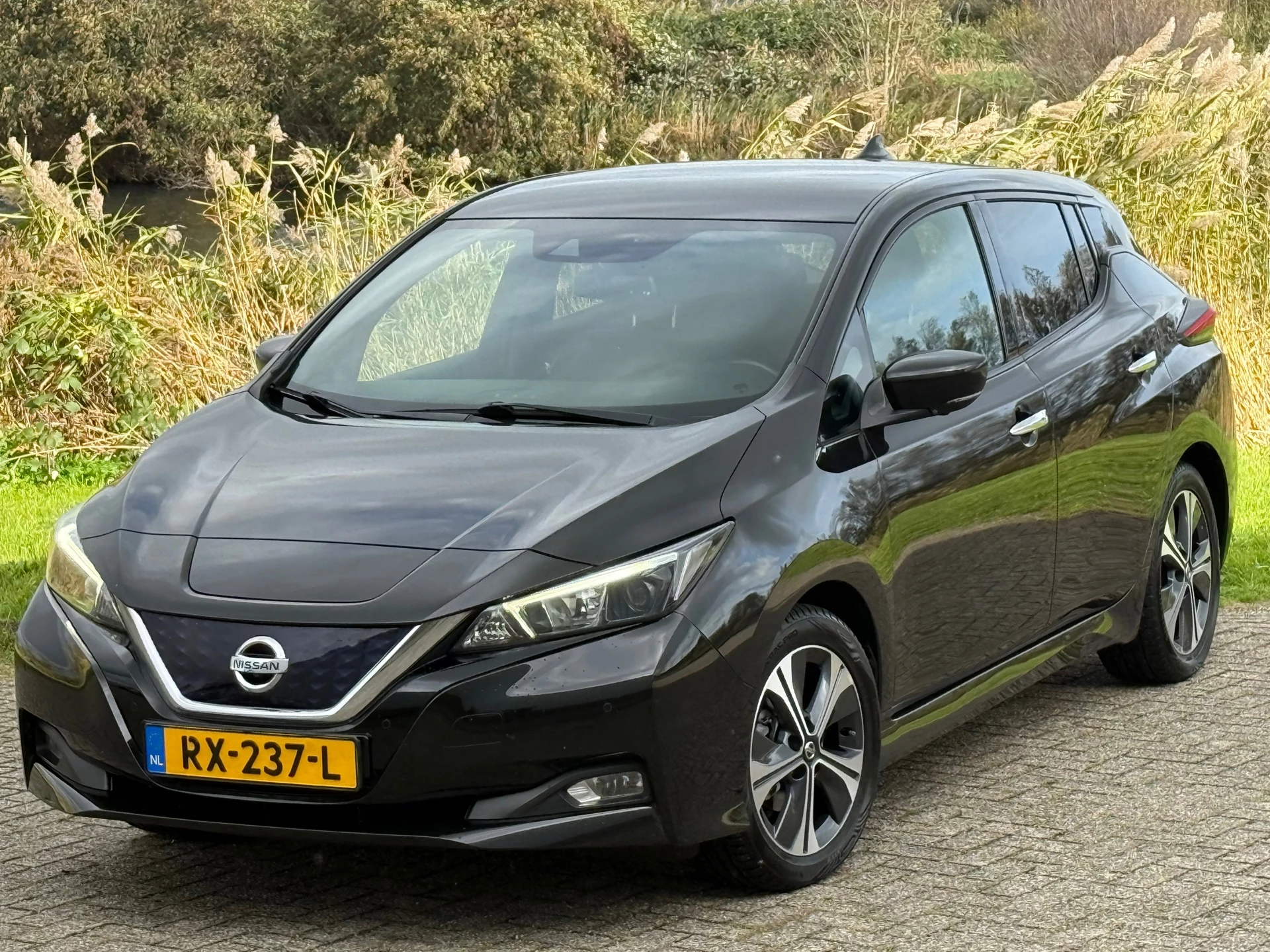 Hoofdafbeelding Nissan Leaf