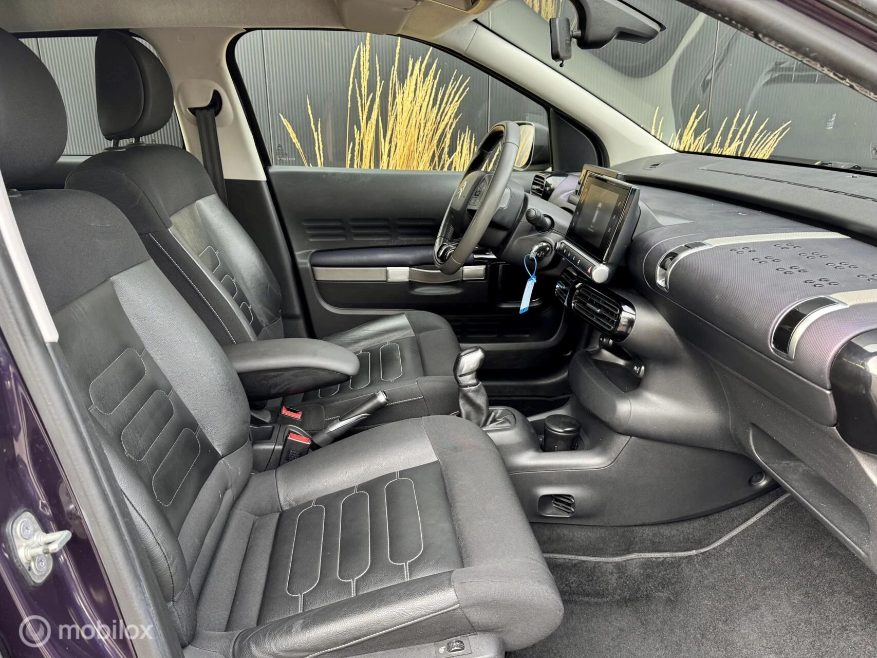 Hoofdafbeelding Citroën C4 Cactus