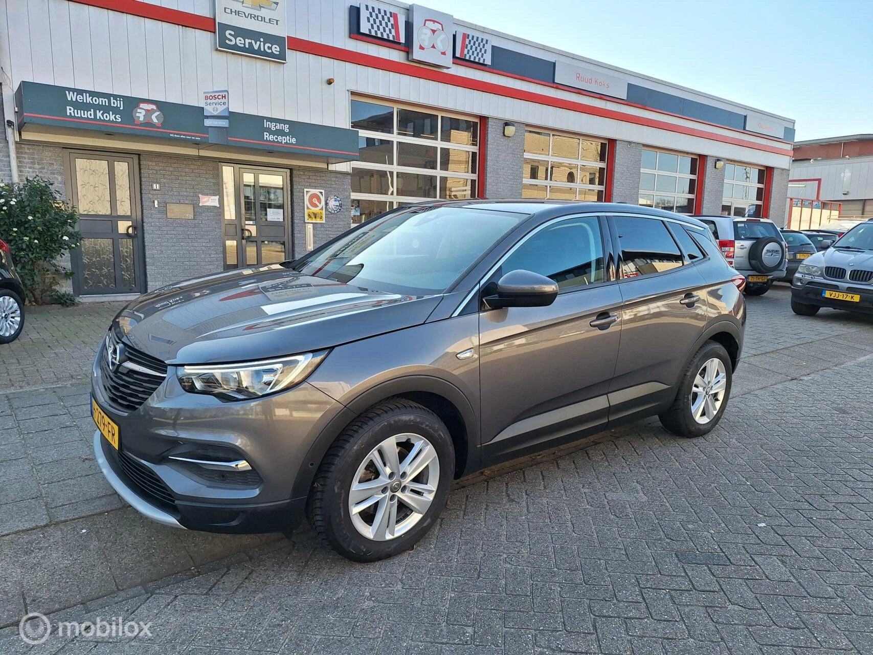 Hoofdafbeelding Opel Grandland X