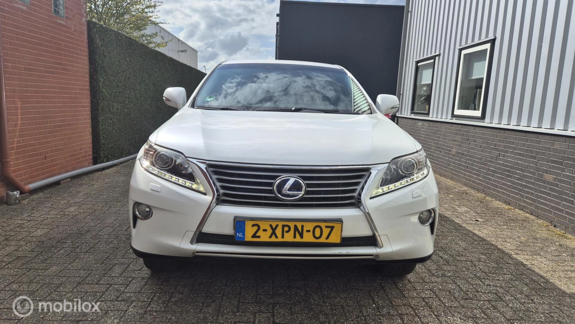 Hoofdafbeelding Lexus RX