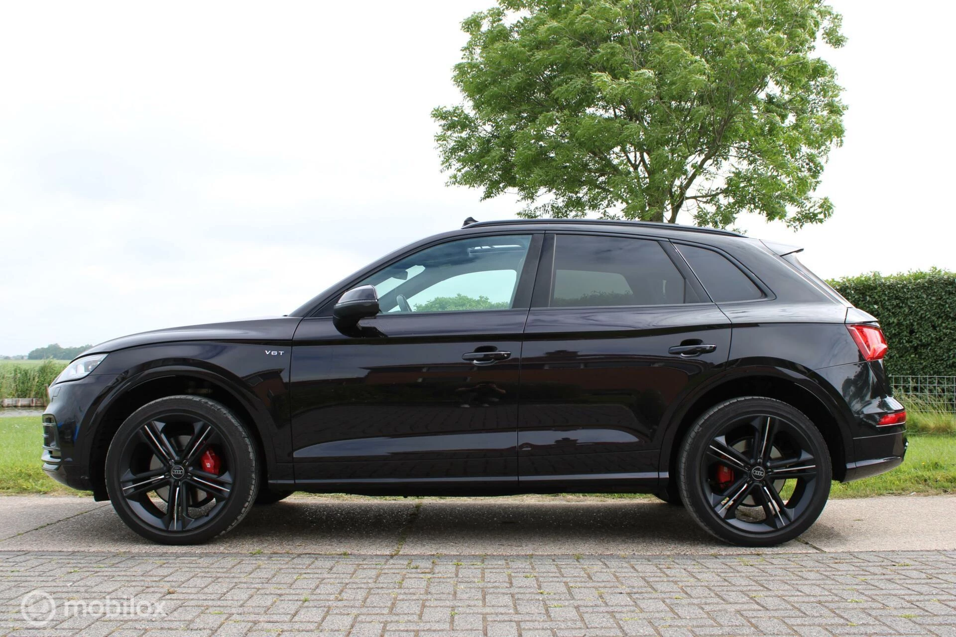 Hoofdafbeelding Audi SQ5